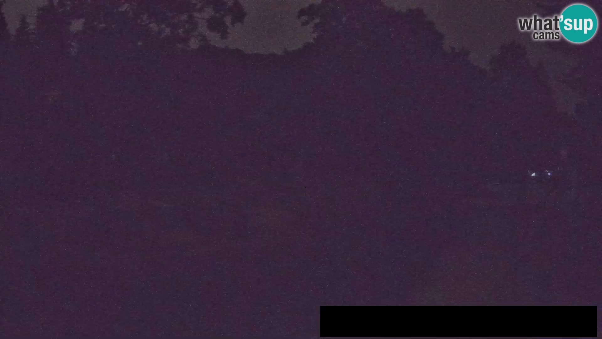 Webcam Zoo Ljubljana – Giraffes