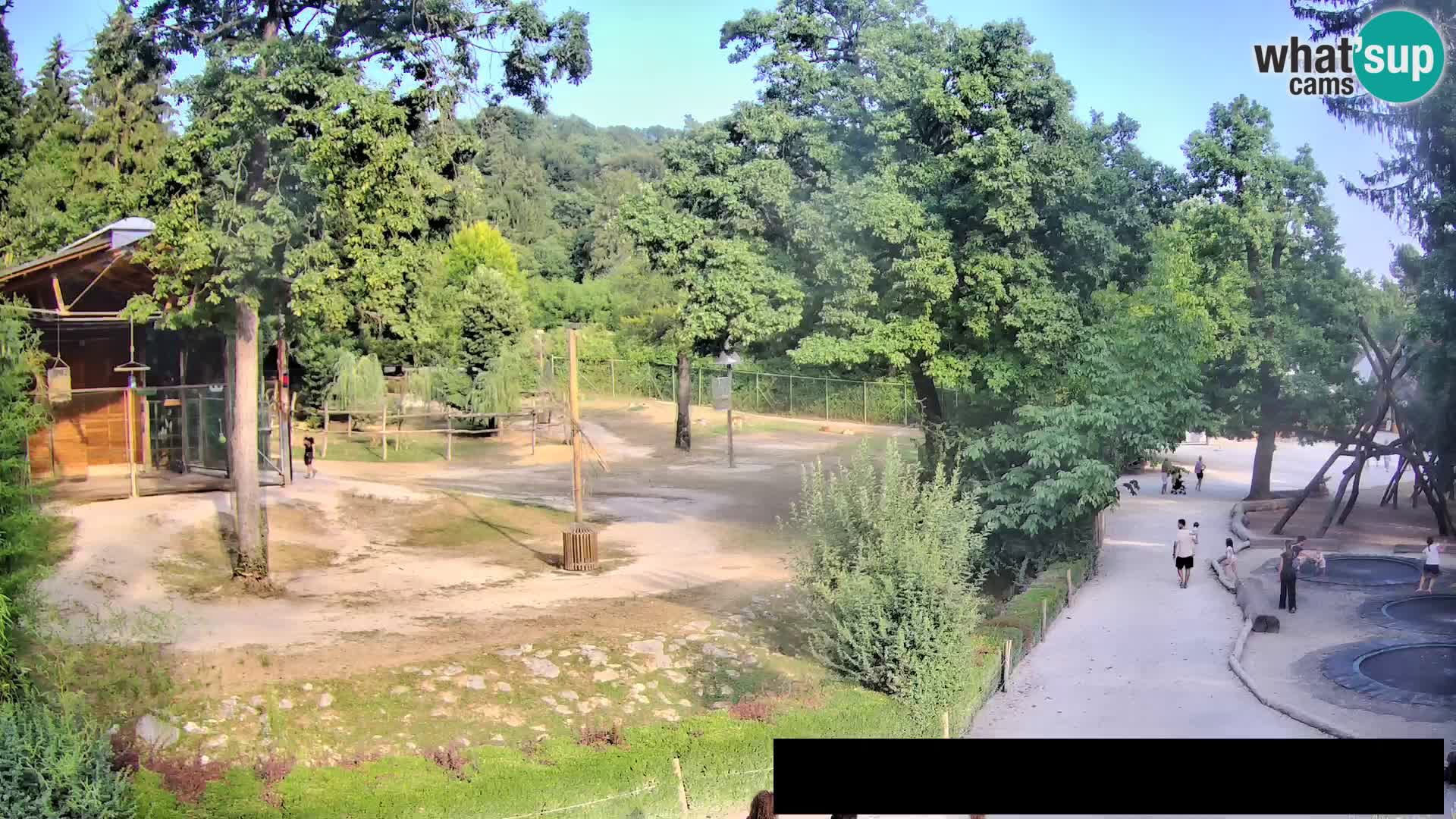 Webcam Zoo Ljubljana – Jirafas
