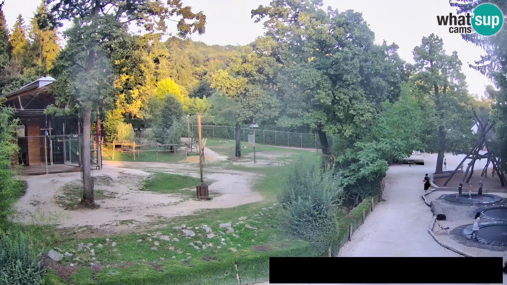 Webcam Zoo Ljubljana – Jirafas