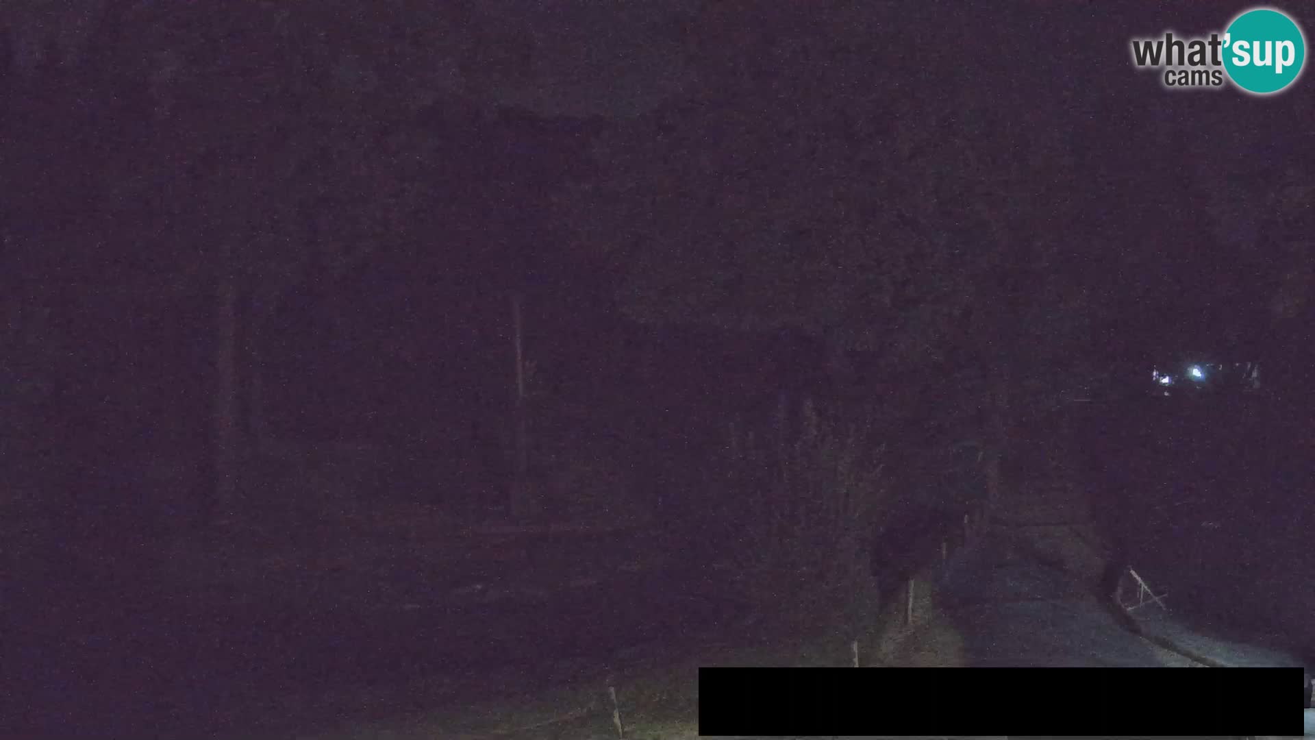 Webcam live Zoo Lubiana – Giraffe