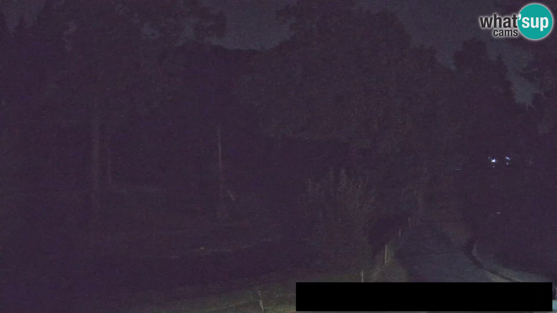 Webcam Zoo Ljubljana – Jirafas
