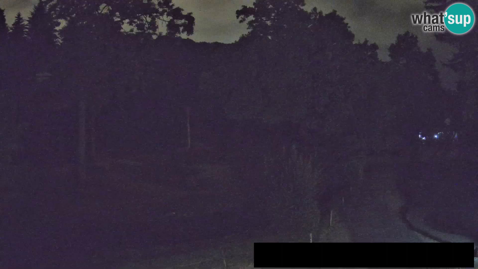 Webcam live Zoo Lubiana – Giraffe