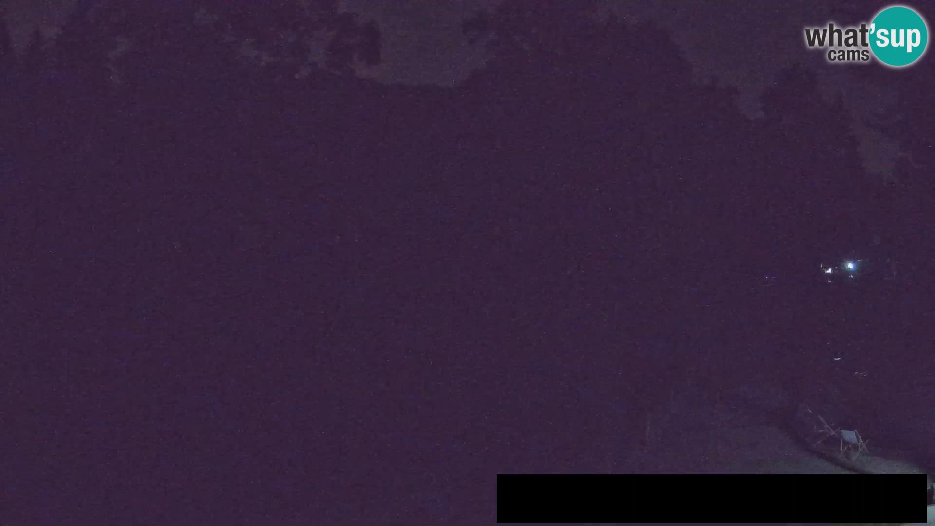Webcam Zoo Ljubljana – Giraffes
