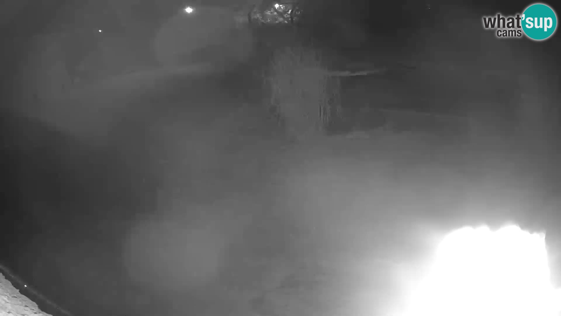 LEON Webcam en vivo en Ljubljana Zoo – Eslovenia