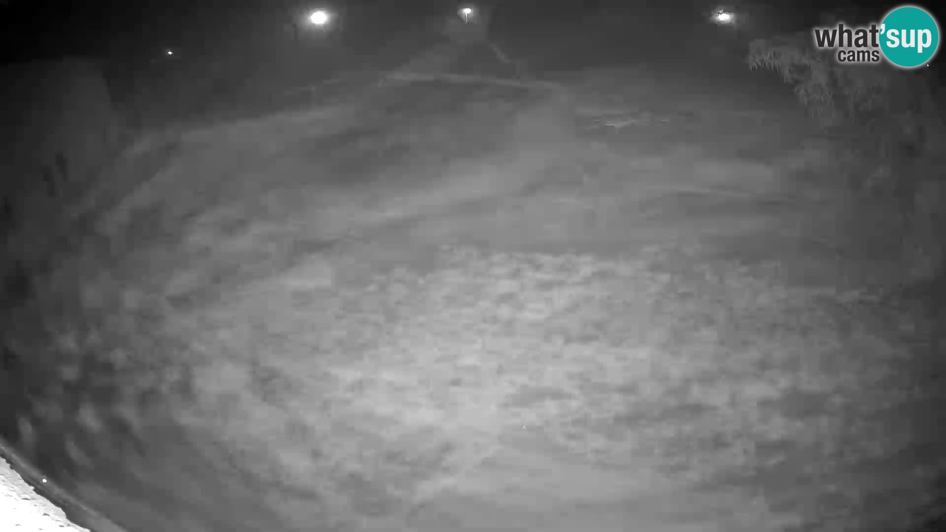 LEON Webcam en vivo en Ljubljana Zoo – Eslovenia