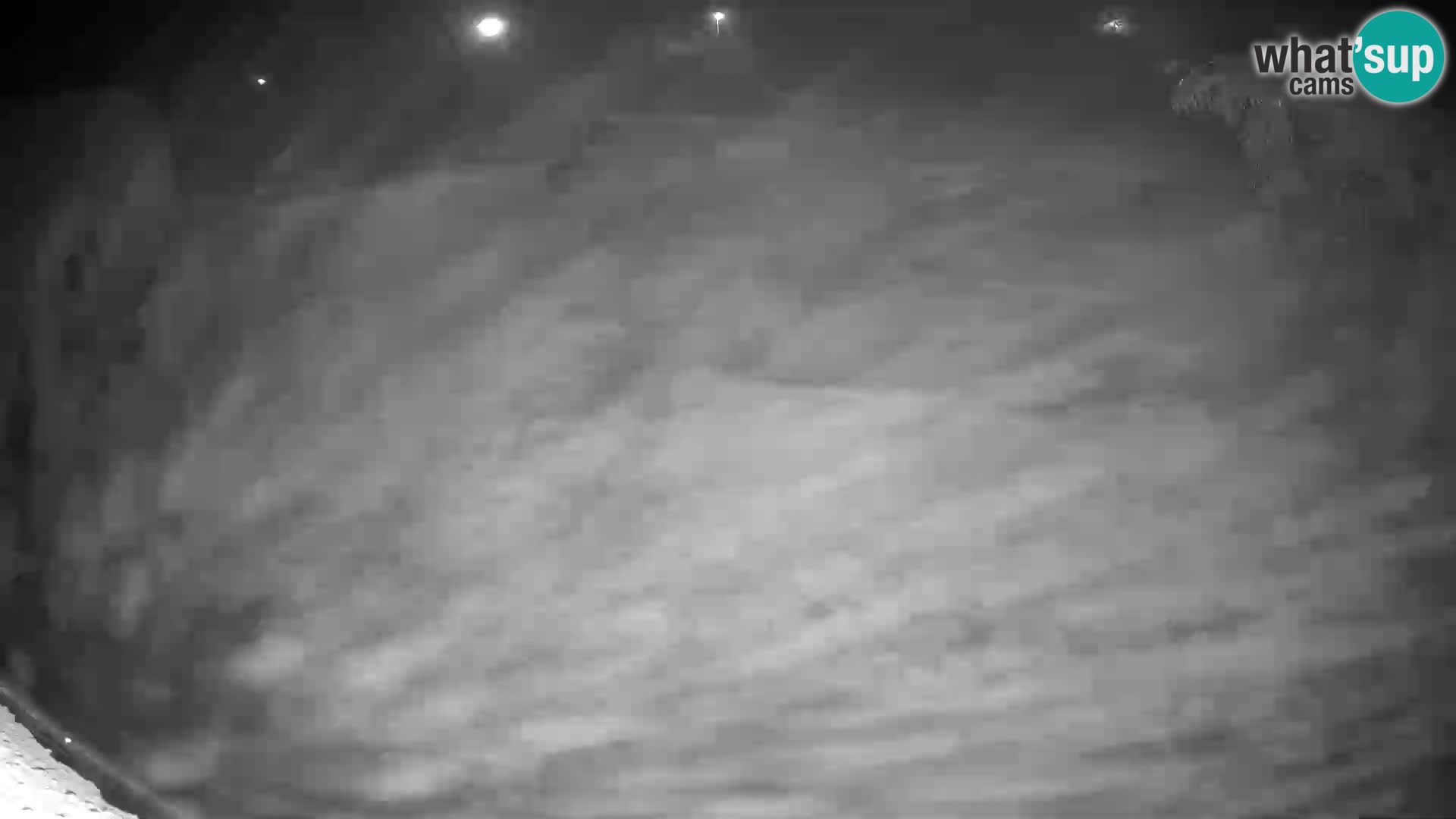 Lavovi web kamera uživo u ljubljanskom zoološkom vrtu – Slovenija