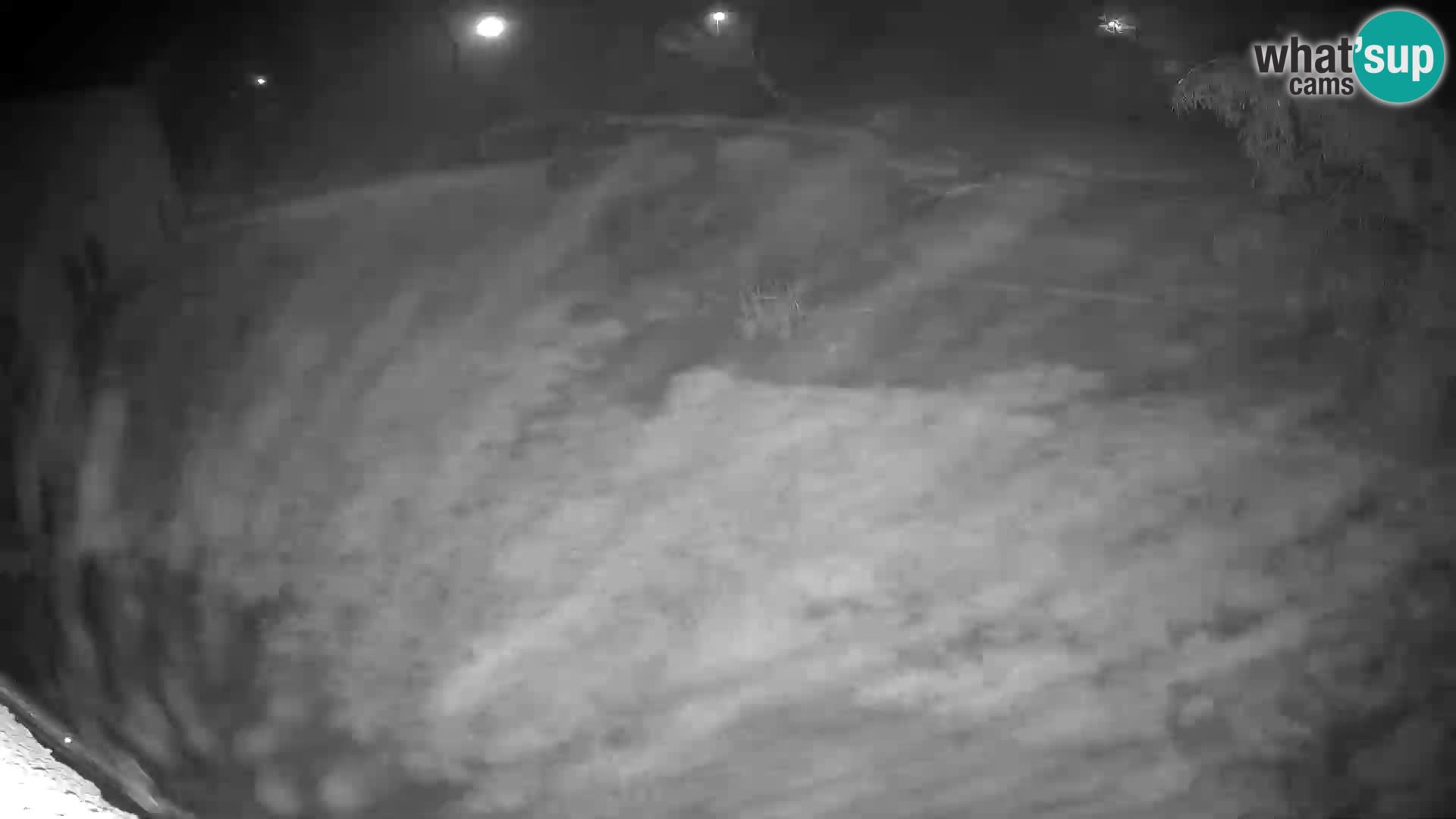 LEVI spletna kamera v živalskem vrtu Ljubljana Zoo