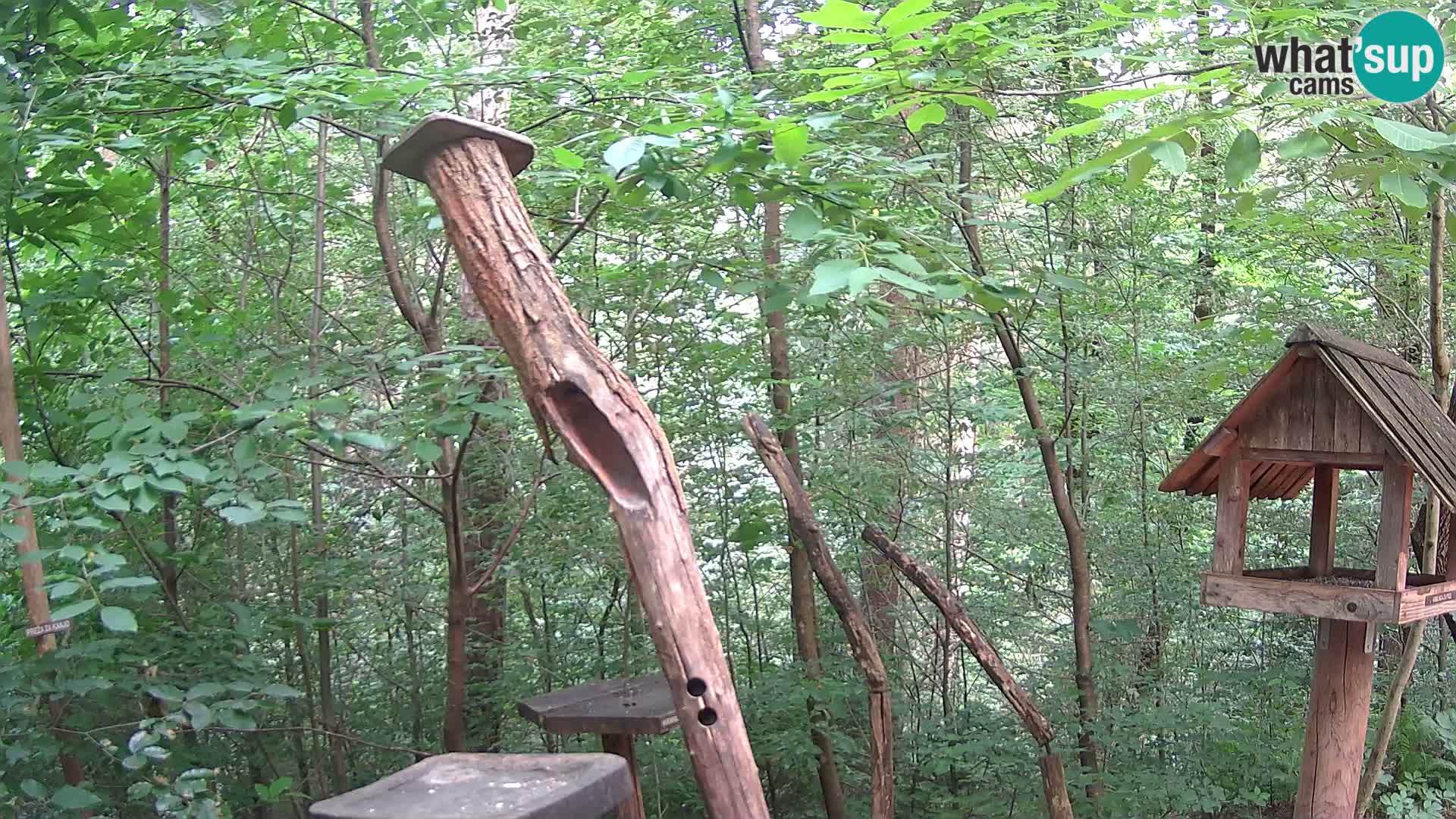 Bird feeders at ZOO Ljubljana webcam
