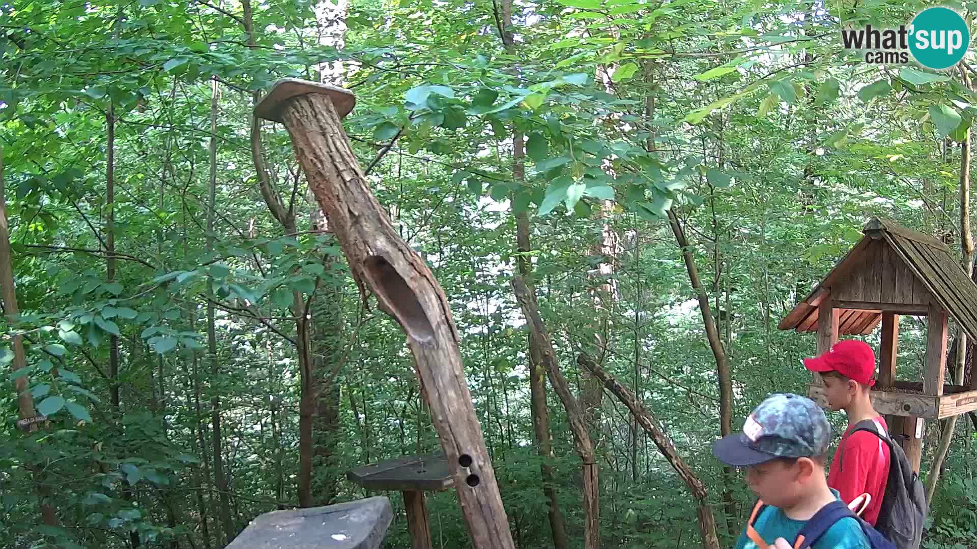 Bird feeders at ZOO Ljubljana webcam