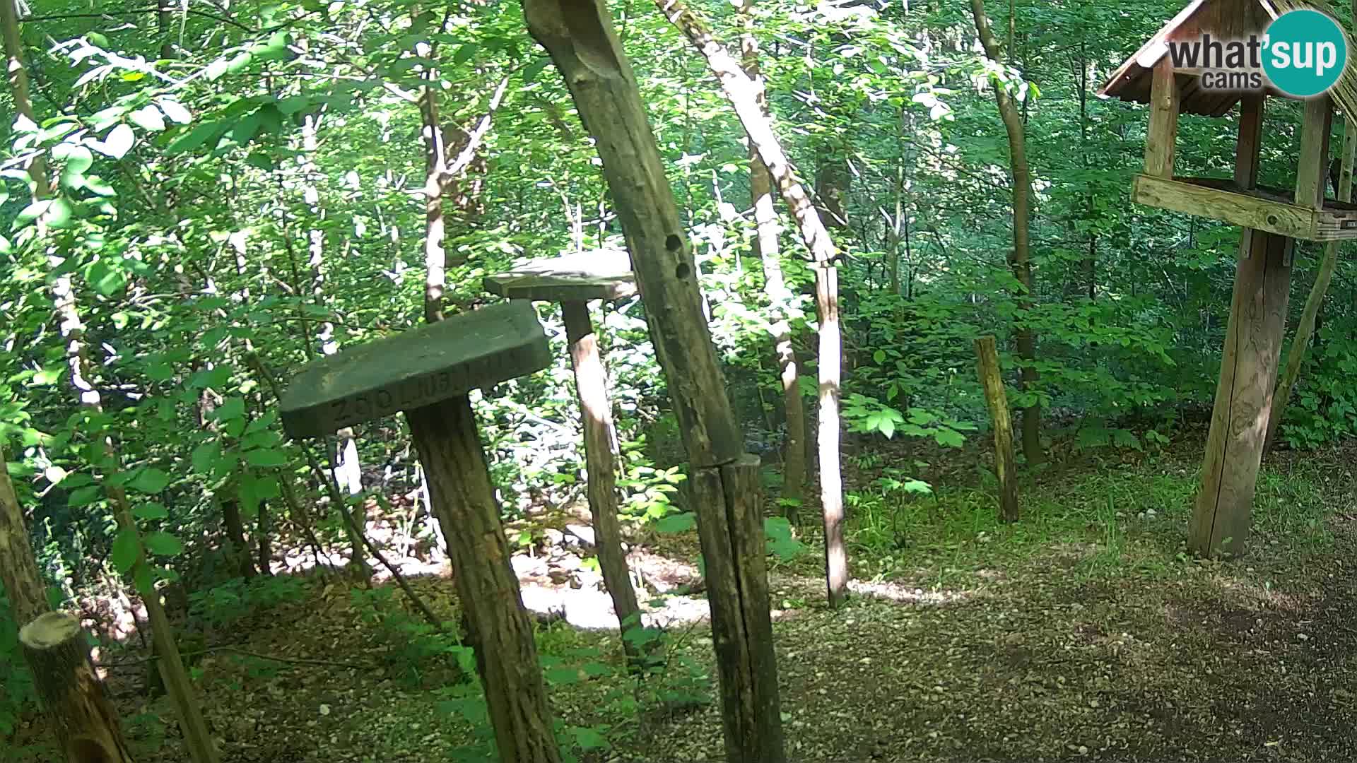 Hranilice za ptice u ZOO web kamera Ljubljana