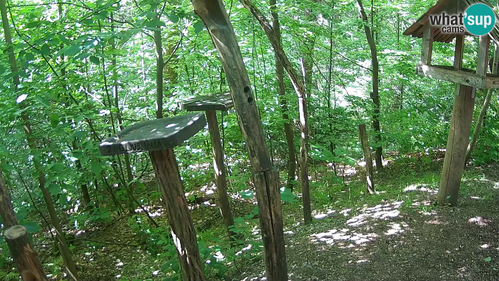 Krmilnice za ptiče v ZOO Ljubljana spletna kamera