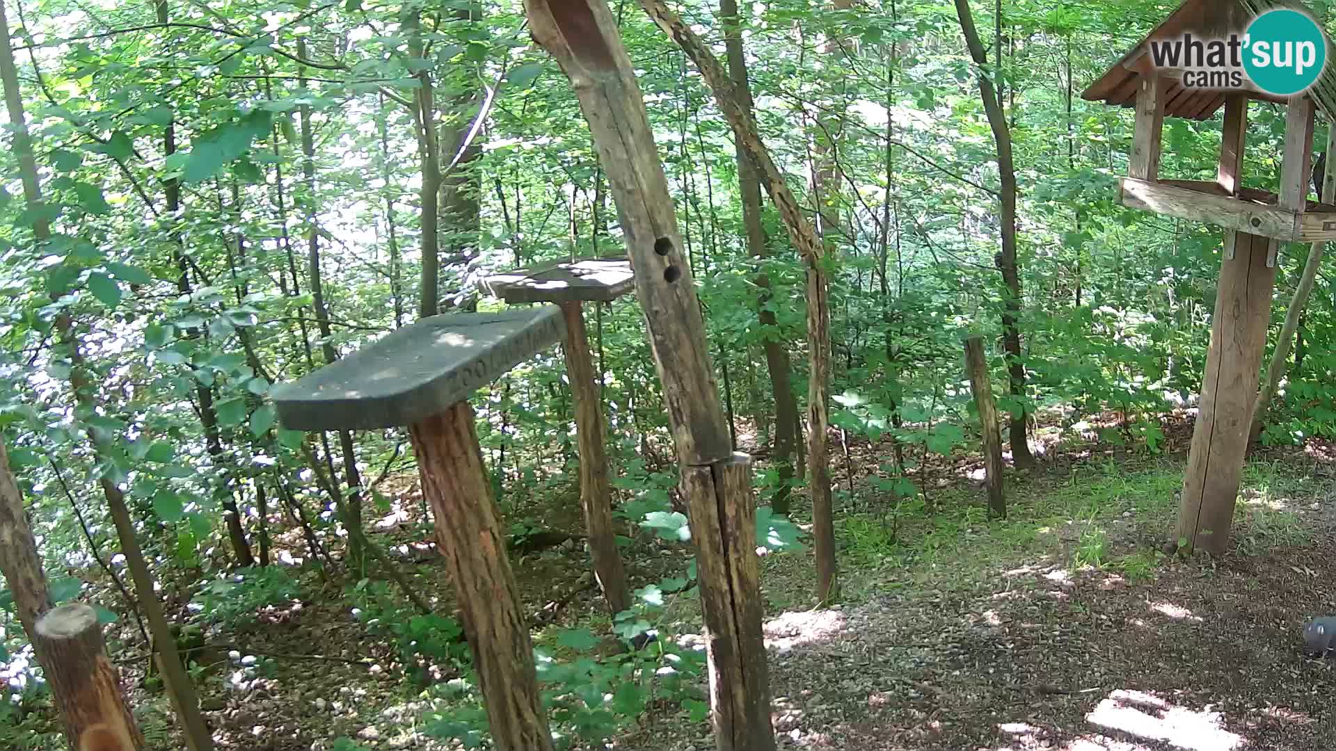 Hranilice za ptice u ZOO web kamera Ljubljana