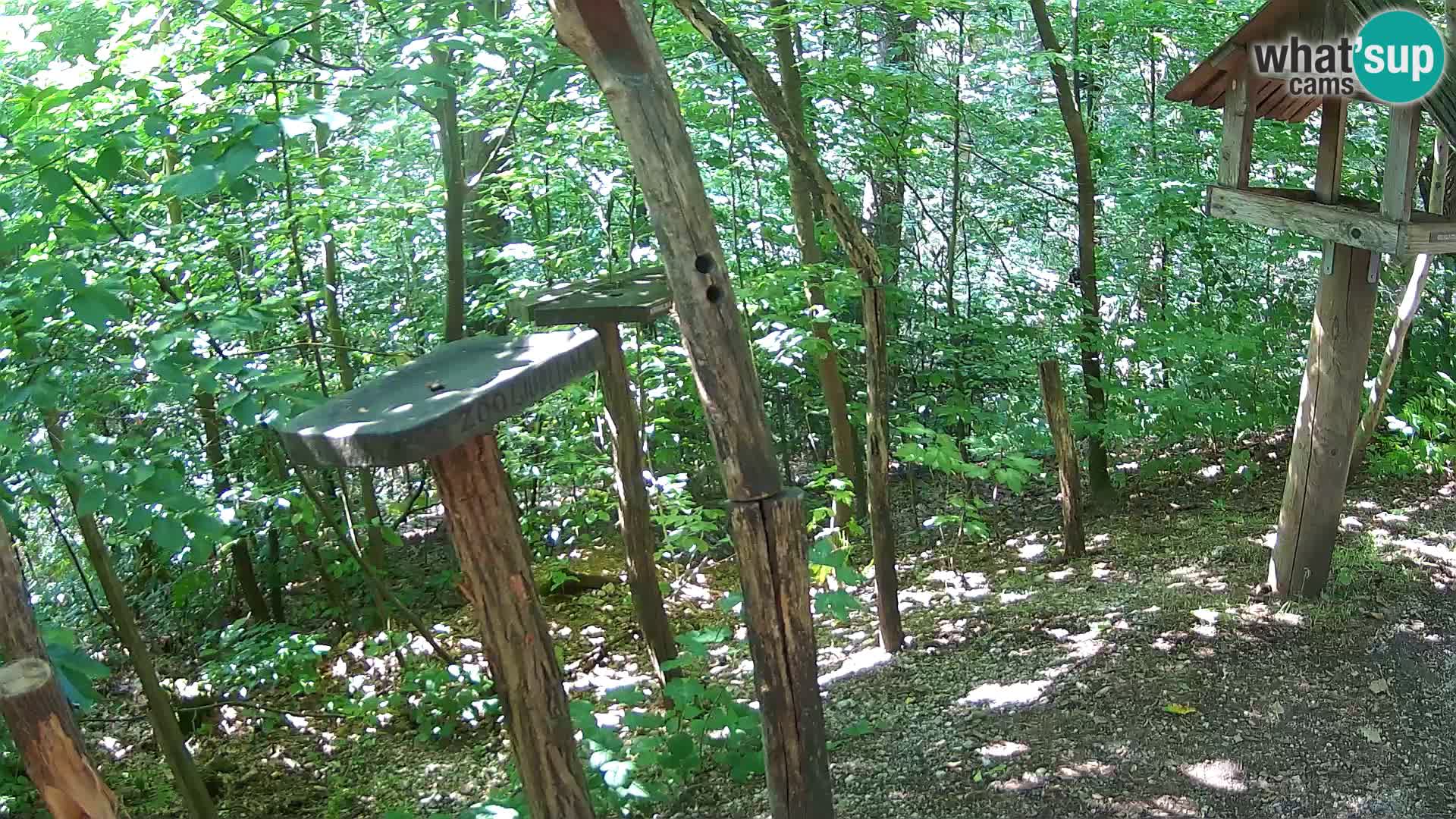 Vogelfutterhäuschen im ZOO webcam Ljubljana