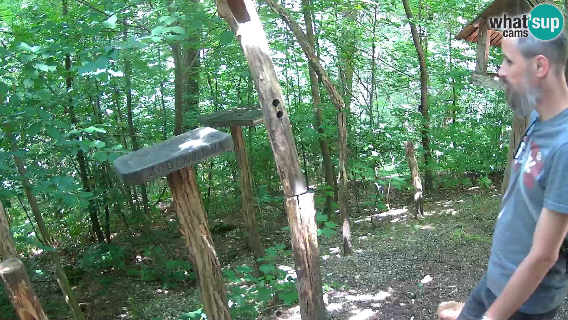 Krmilnice za ptiče v ZOO Ljubljana spletna kamera
