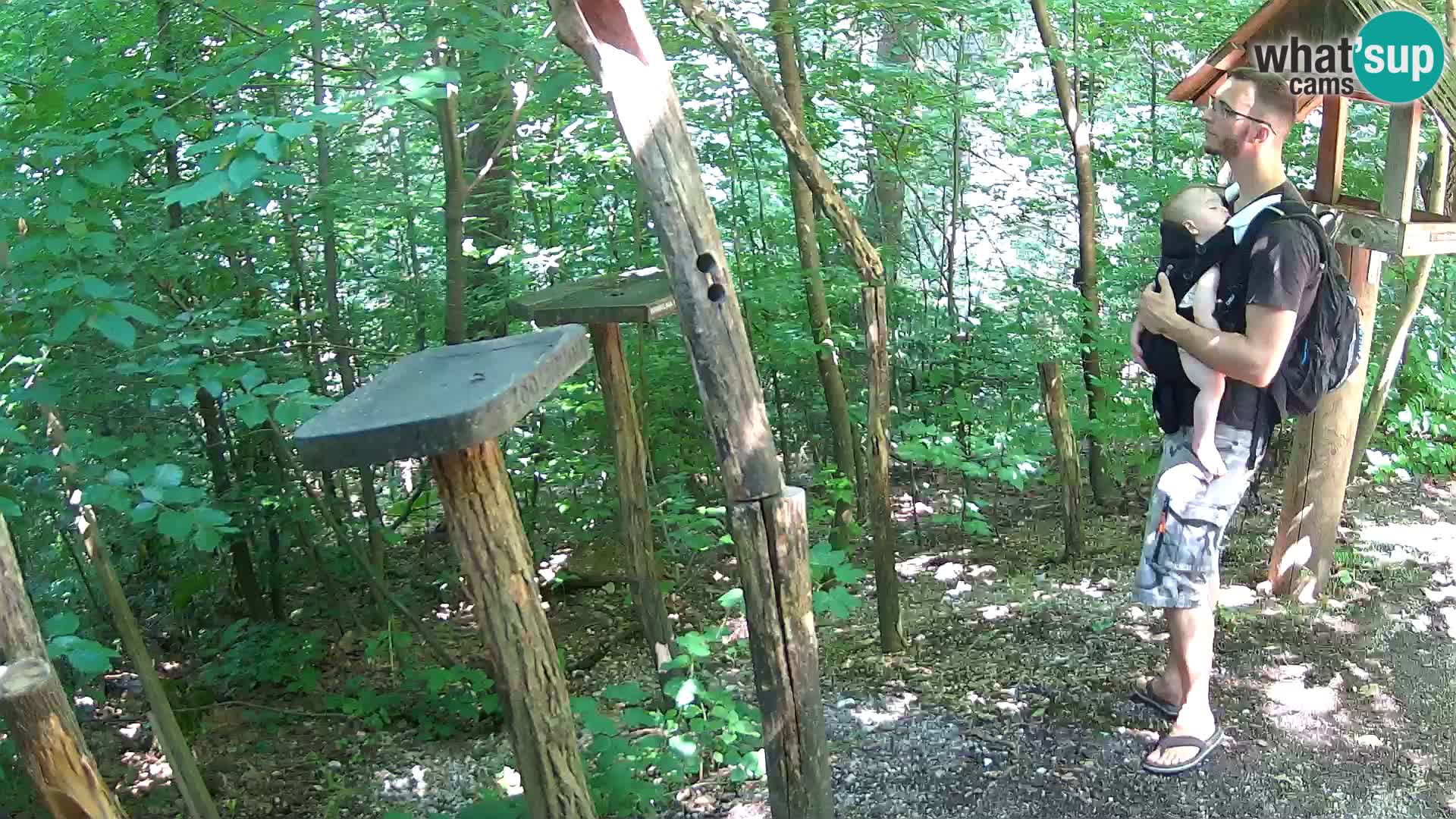 Comederos para pájaros en ZOO Ljubljana camera en vivo