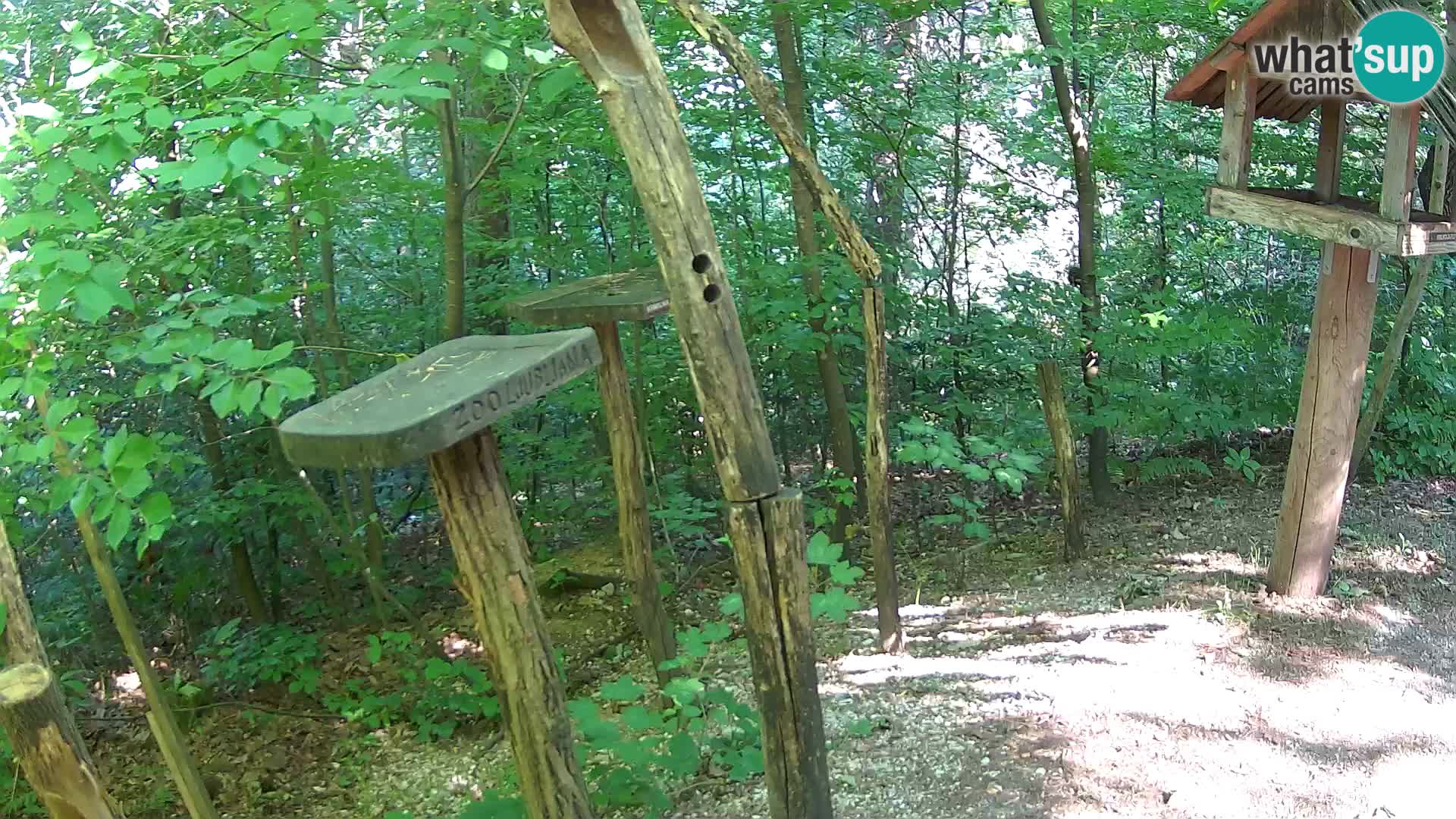 Hranilice za ptice u ZOO web kamera Ljubljana