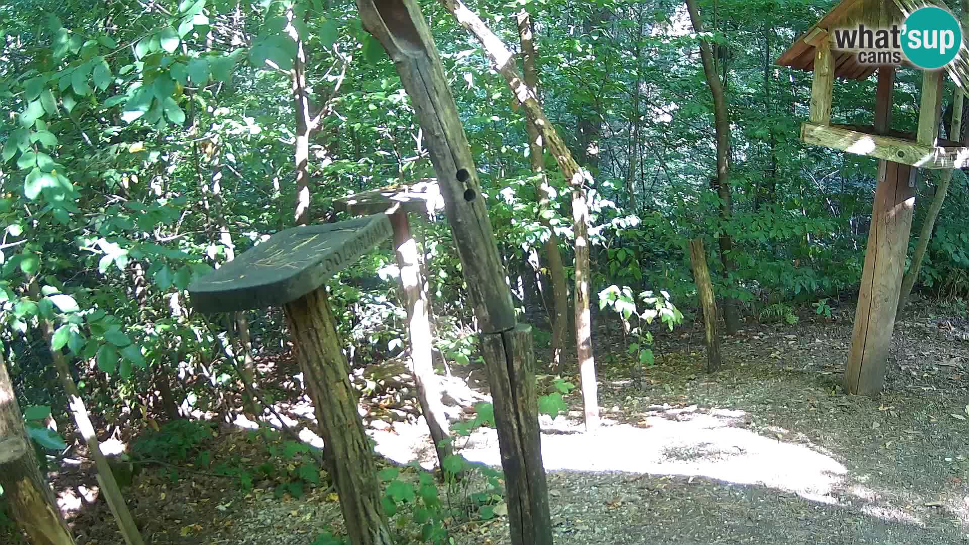 Comederos para pájaros en ZOO Ljubljana camera en vivo