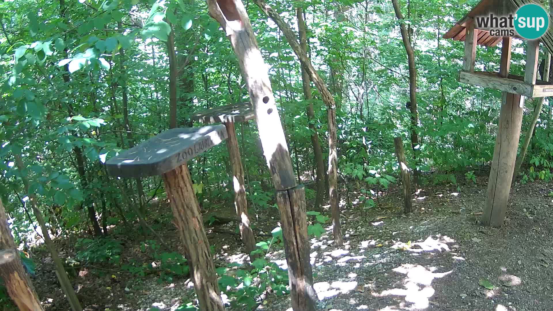 Krmilnice za ptiče v ZOO Ljubljana spletna kamera