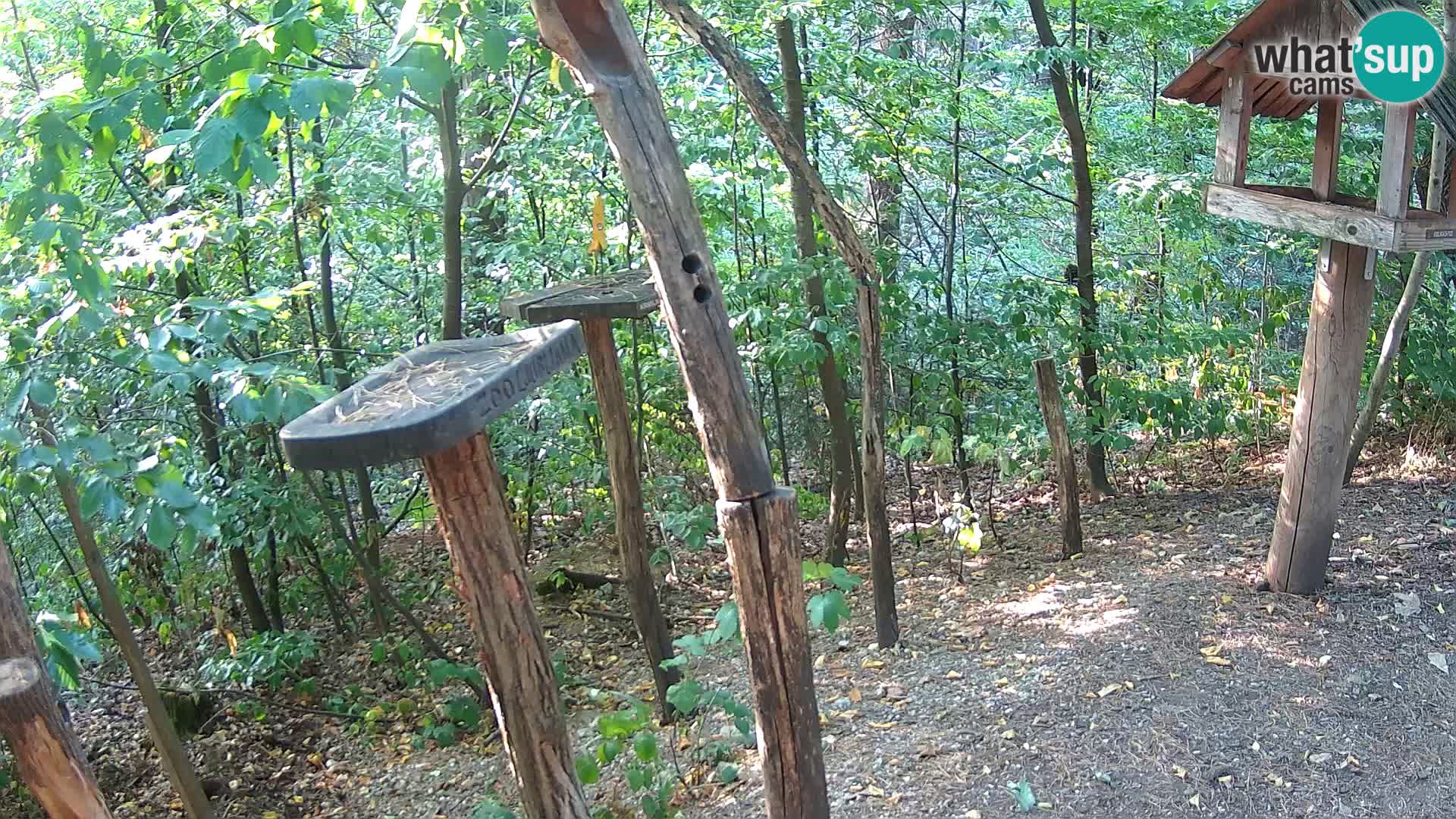 Krmilnice za ptiče v ZOO Ljubljana spletna kamera