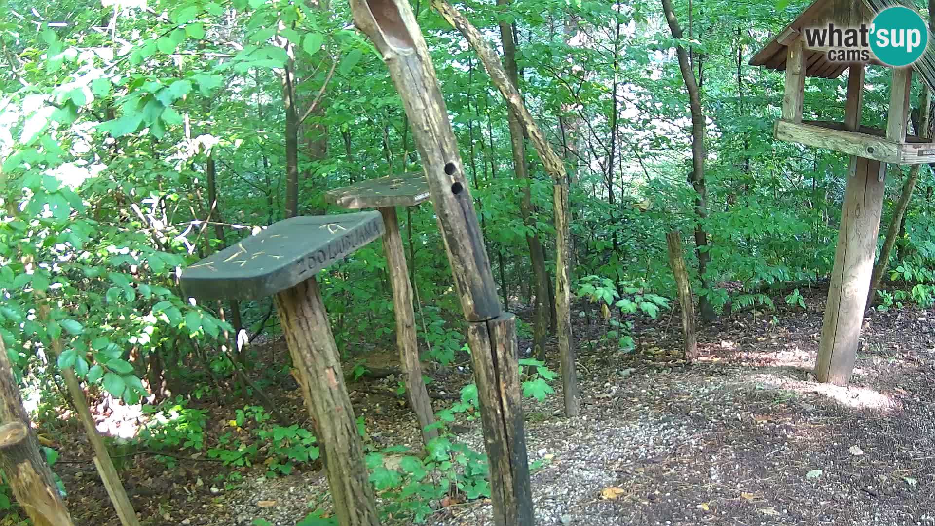 Krmilnice za ptiče v ZOO Ljubljana spletna kamera