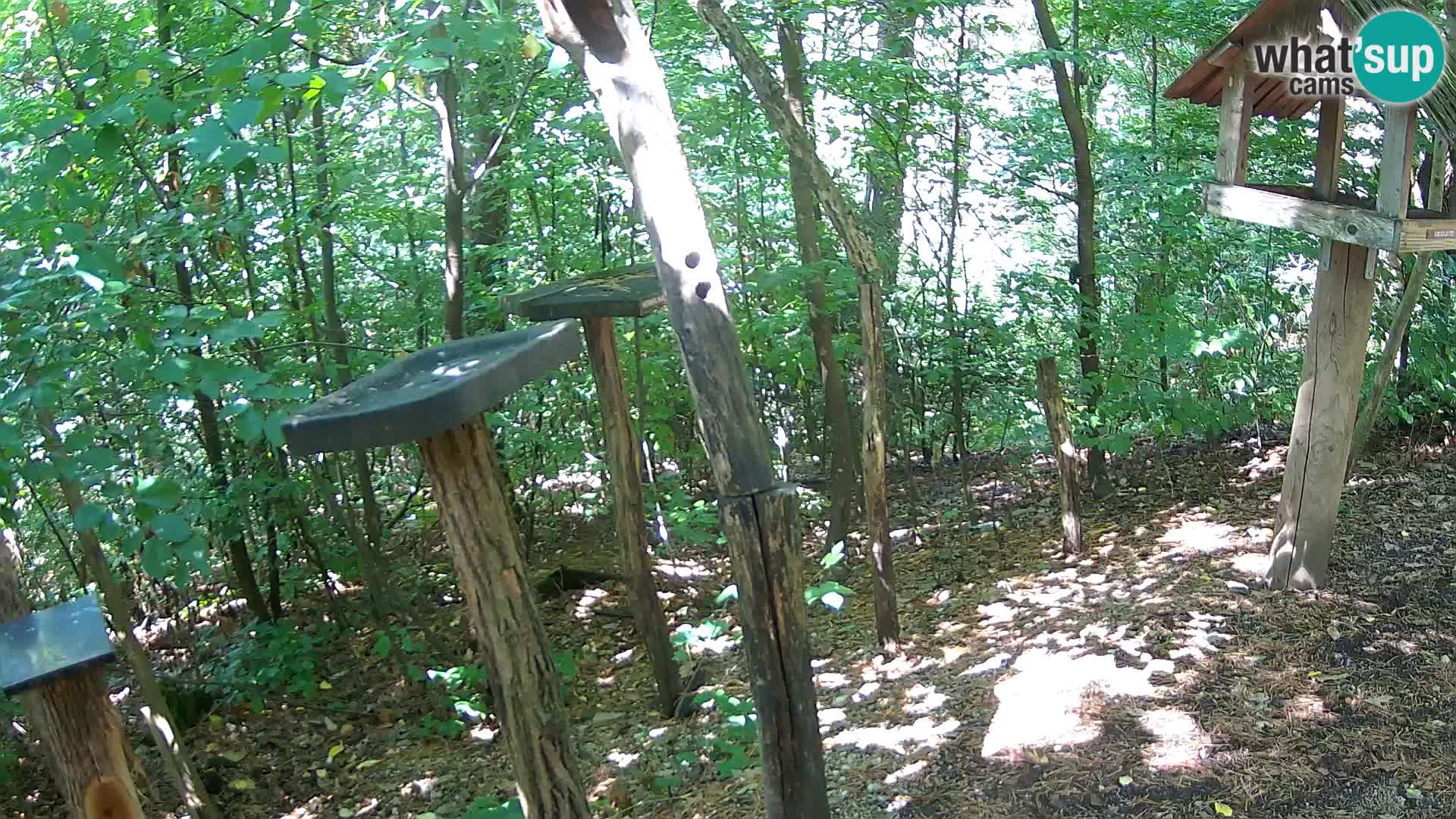Bird feeders at ZOO Ljubljana webcam