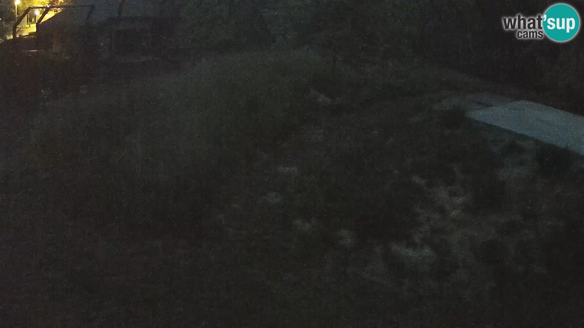 Zoo Ljubljana webcam Löwen