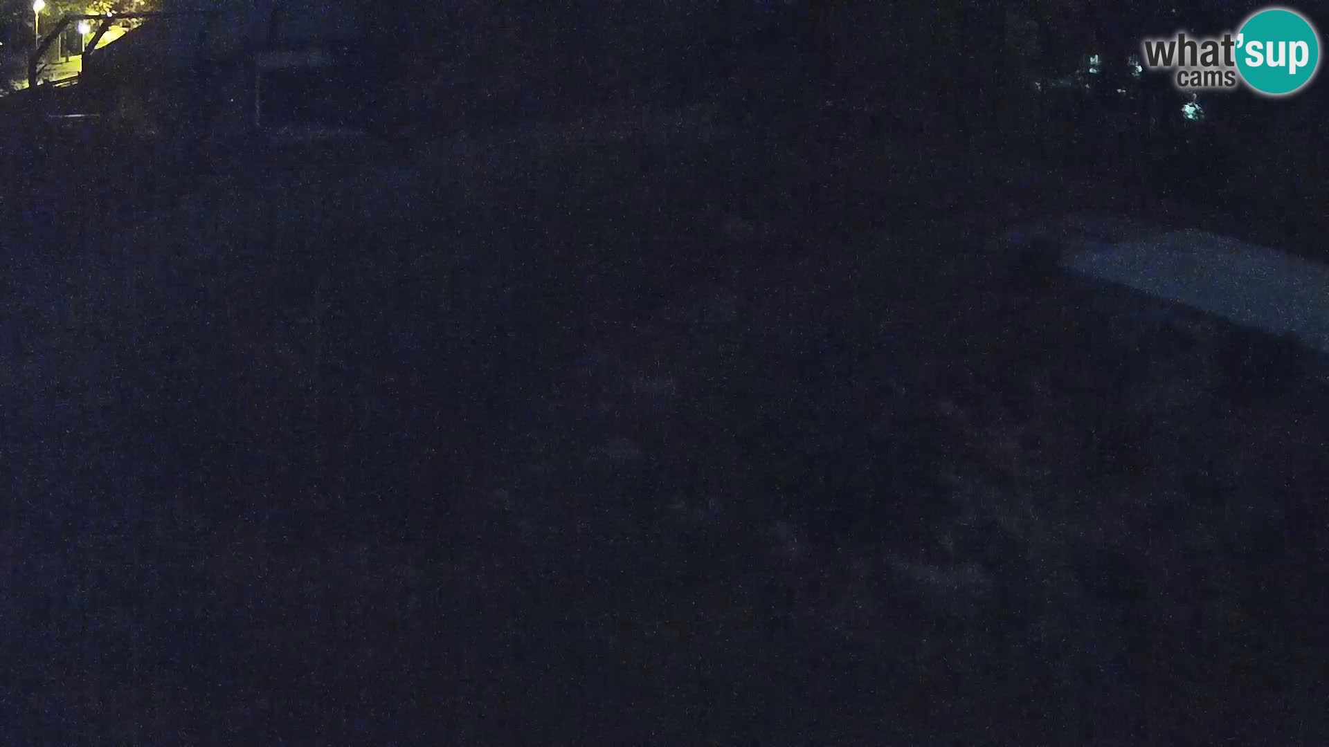 Zoo Ljubljana webcam Löwen