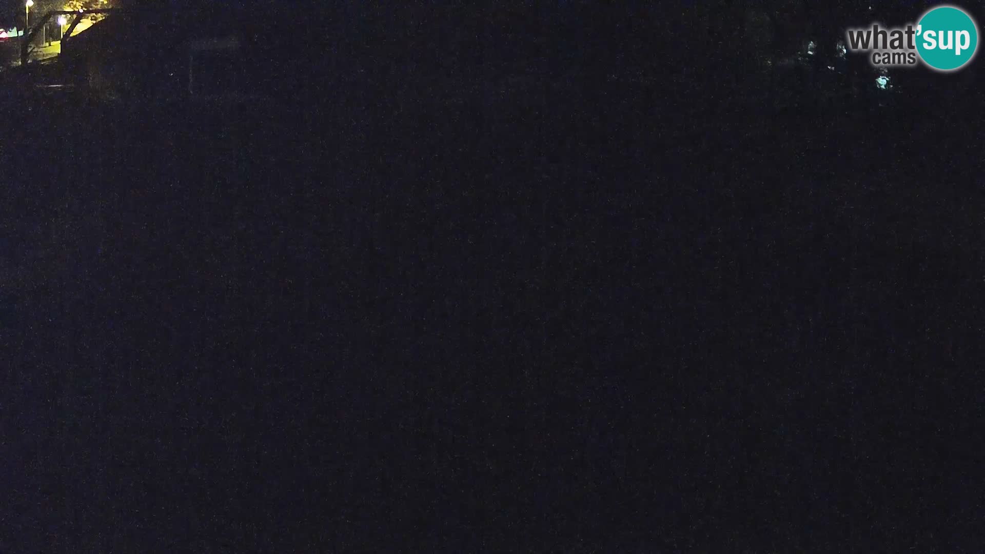 Zoo Ljubljana webcam Löwen