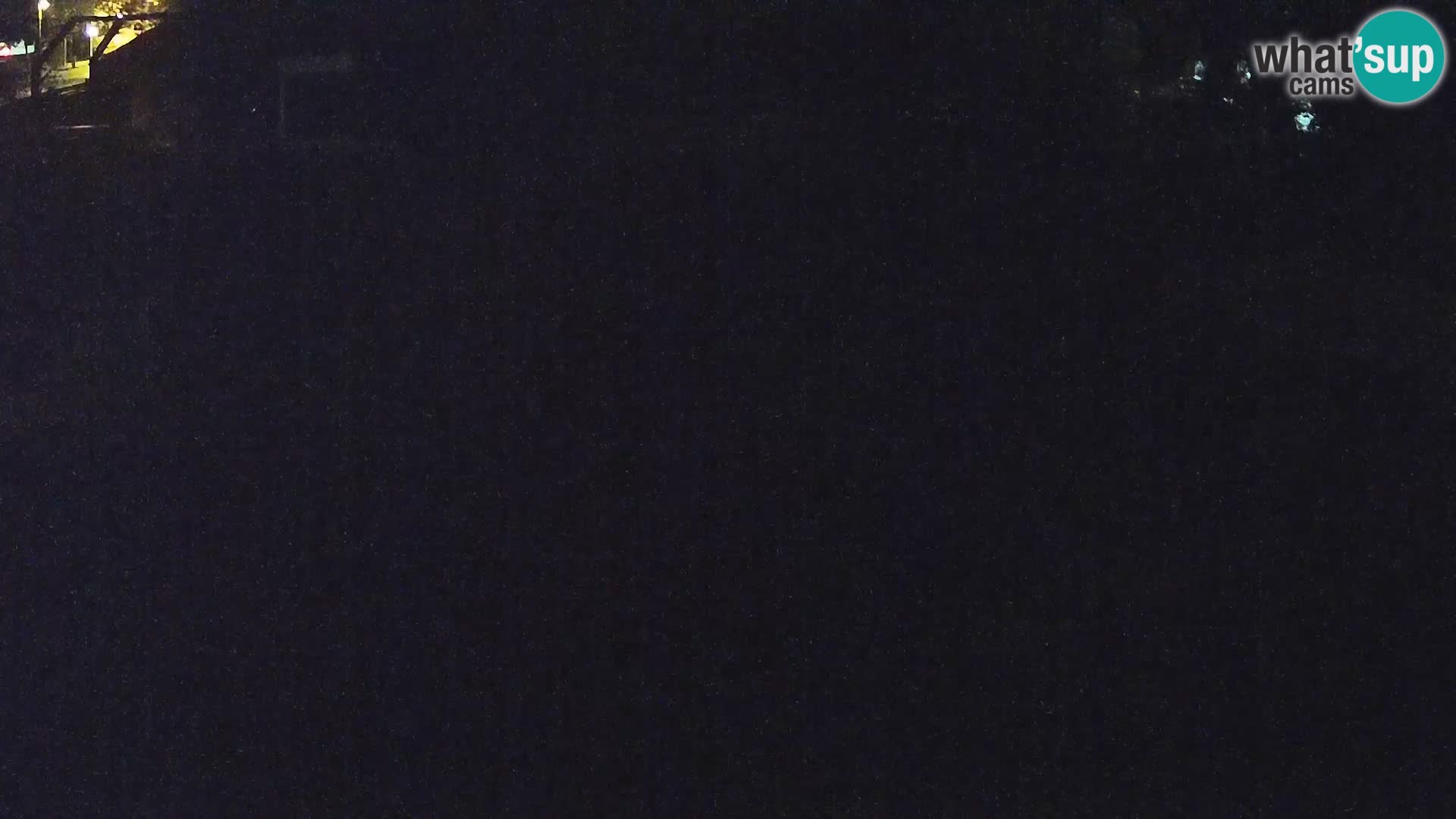 Zoo Ljubljana webcam Löwen