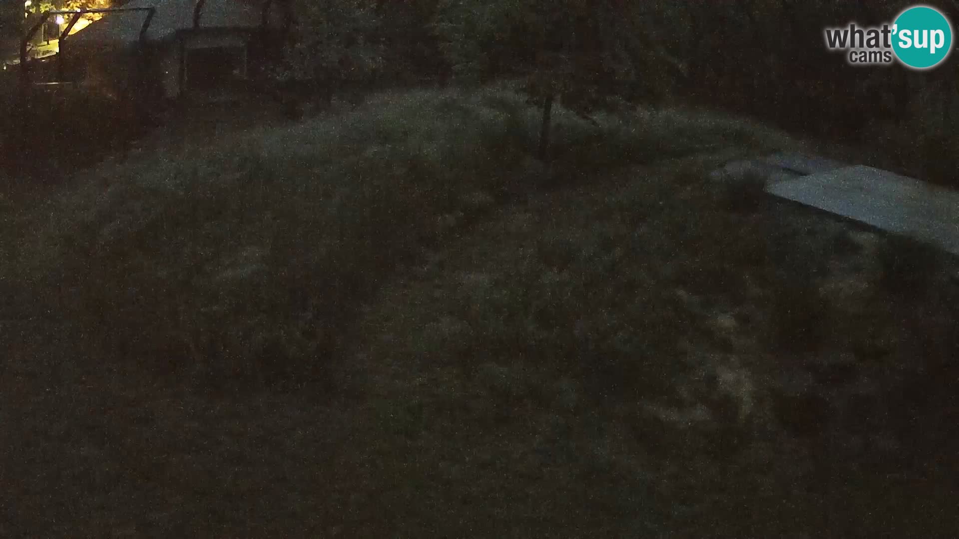 Ljubljana Zoo webcam Lion