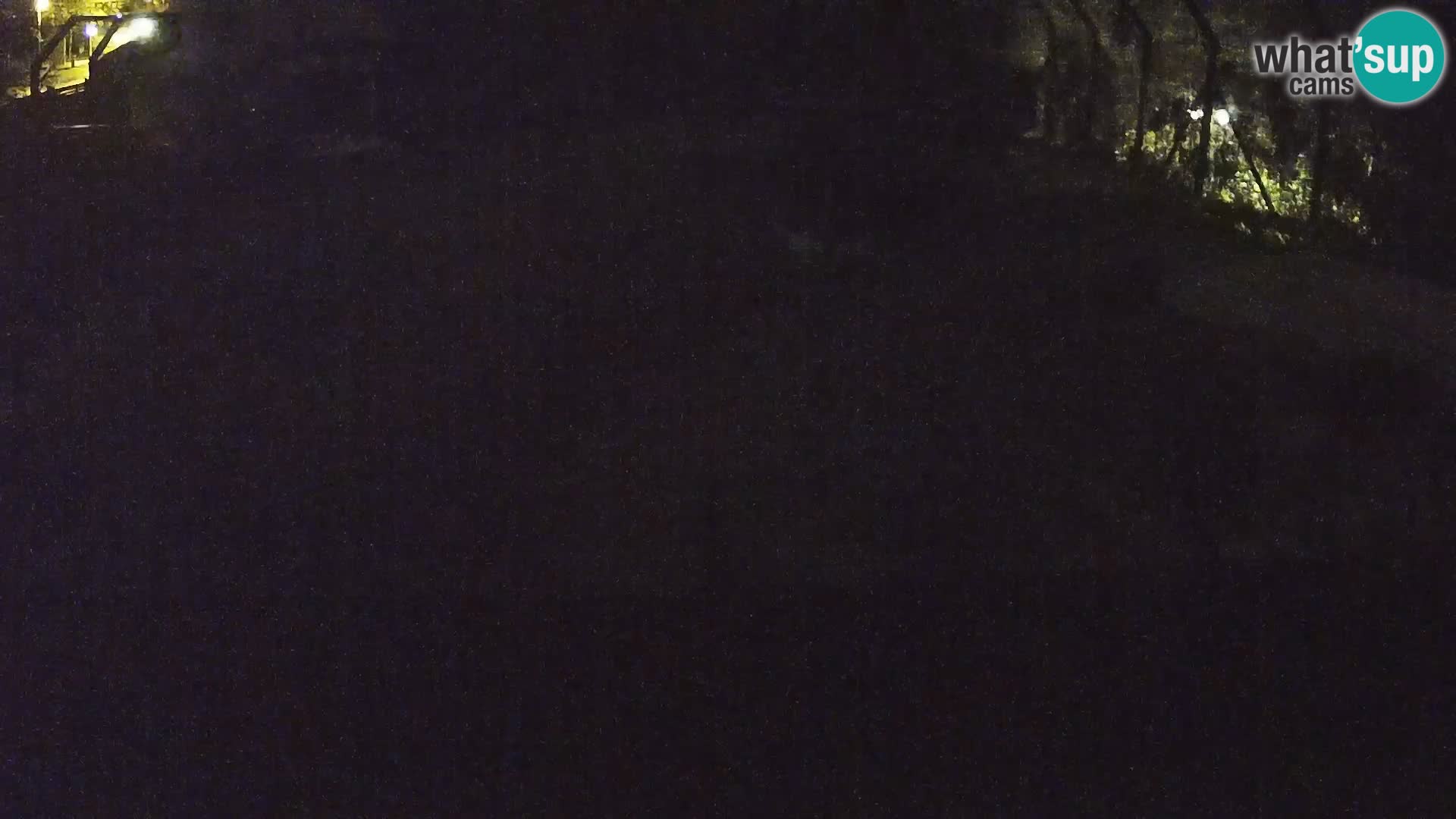 Zoo Ljubljana web kamera Lavovi