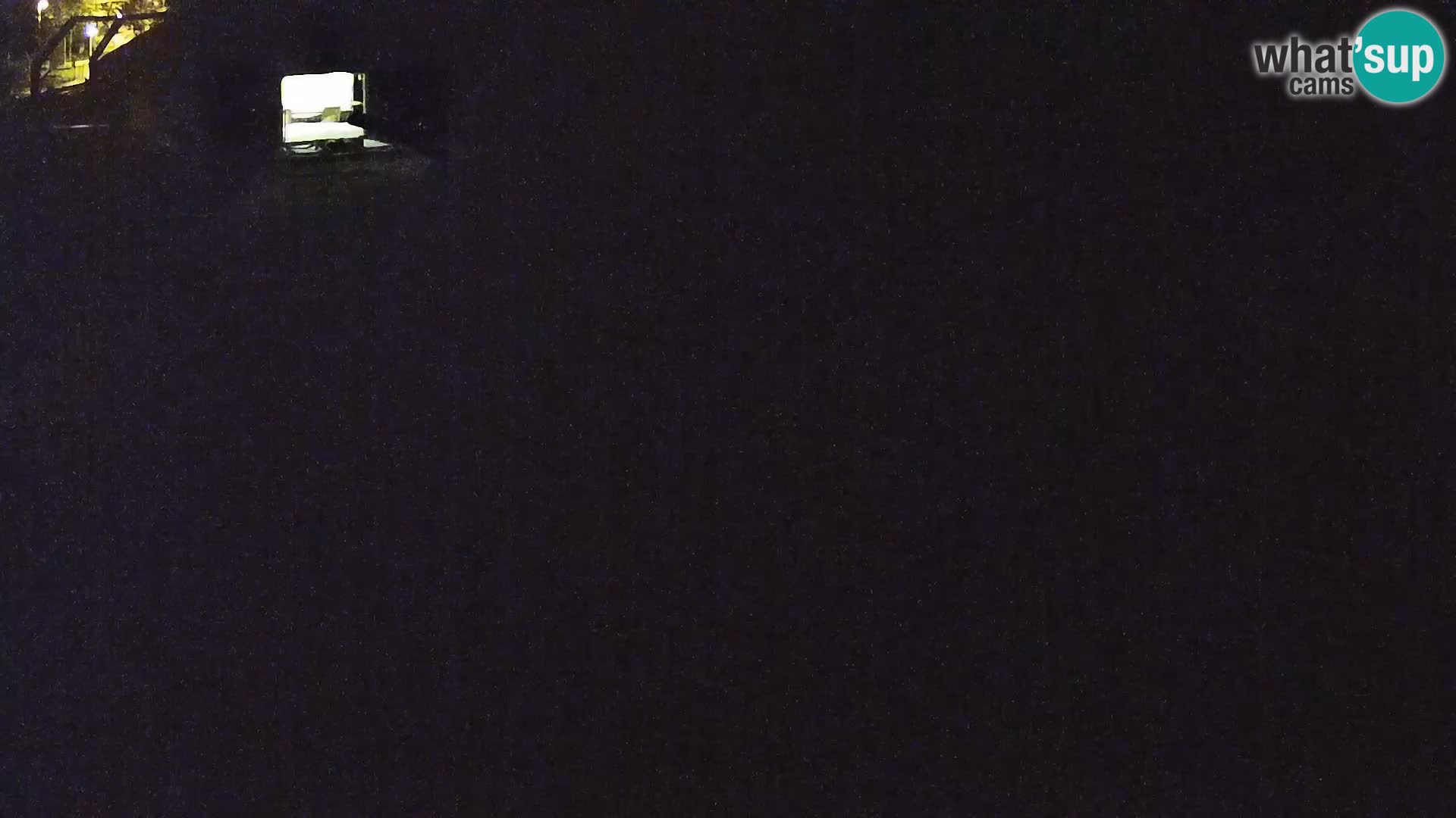Ljubljana Zoo webcam Lion
