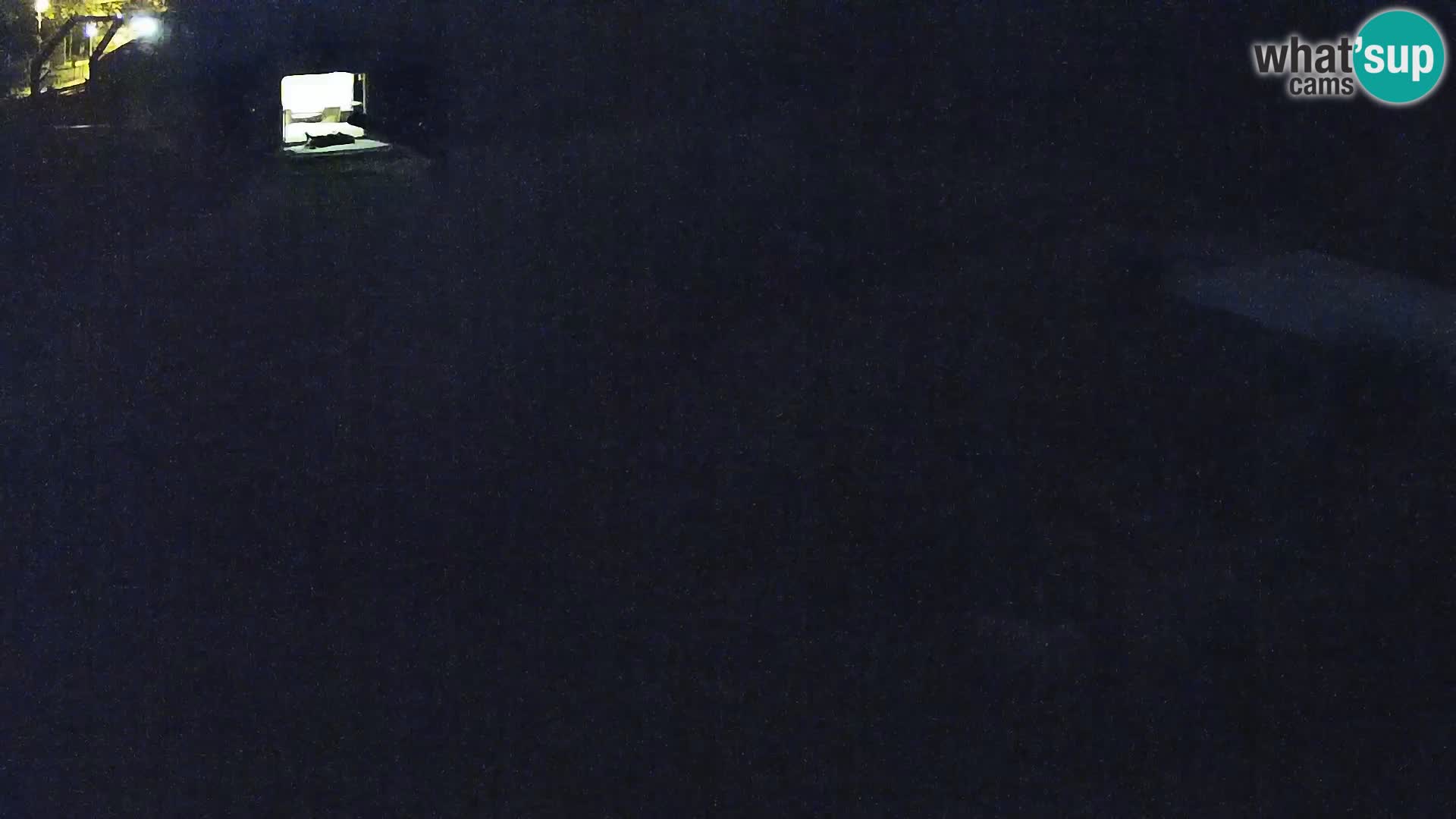 Zoo Ljubljana webcam Löwen