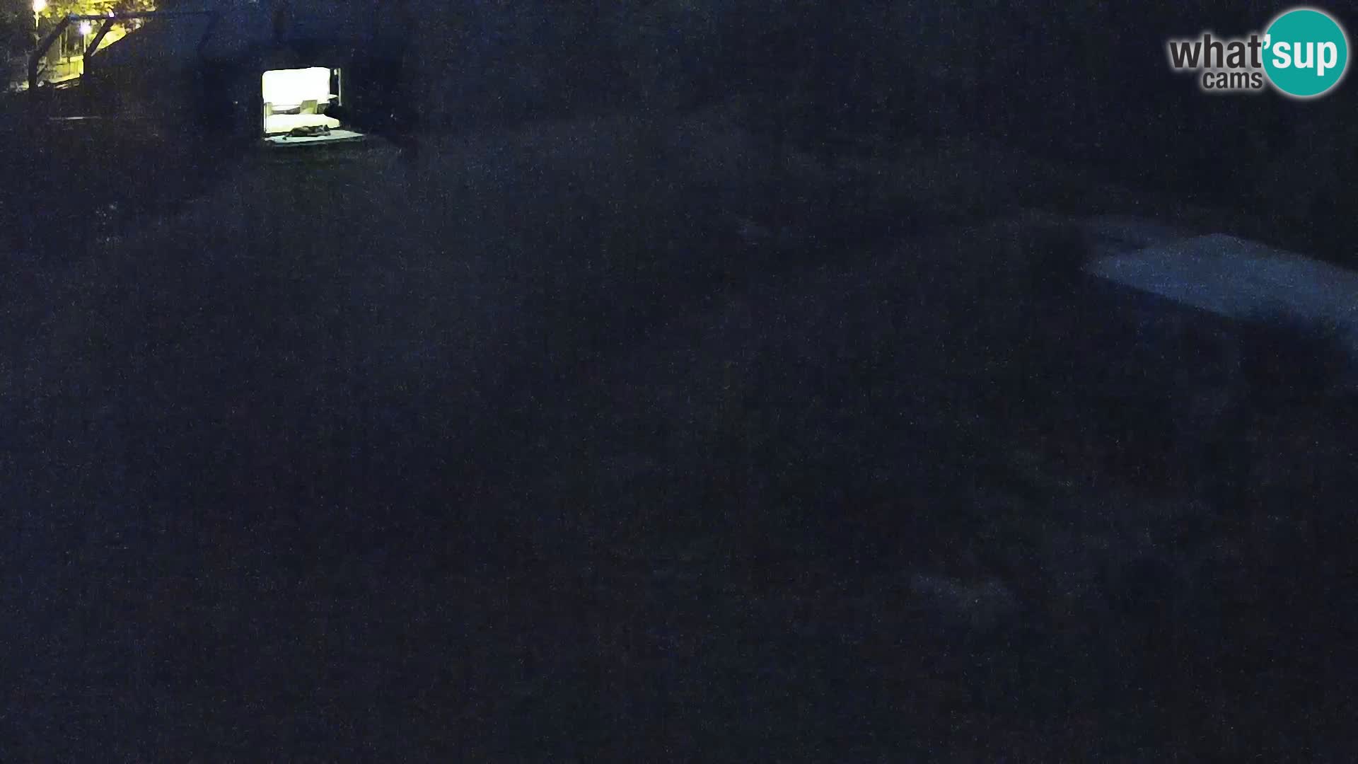 Zoo Ljubljana camera en vivo Leones