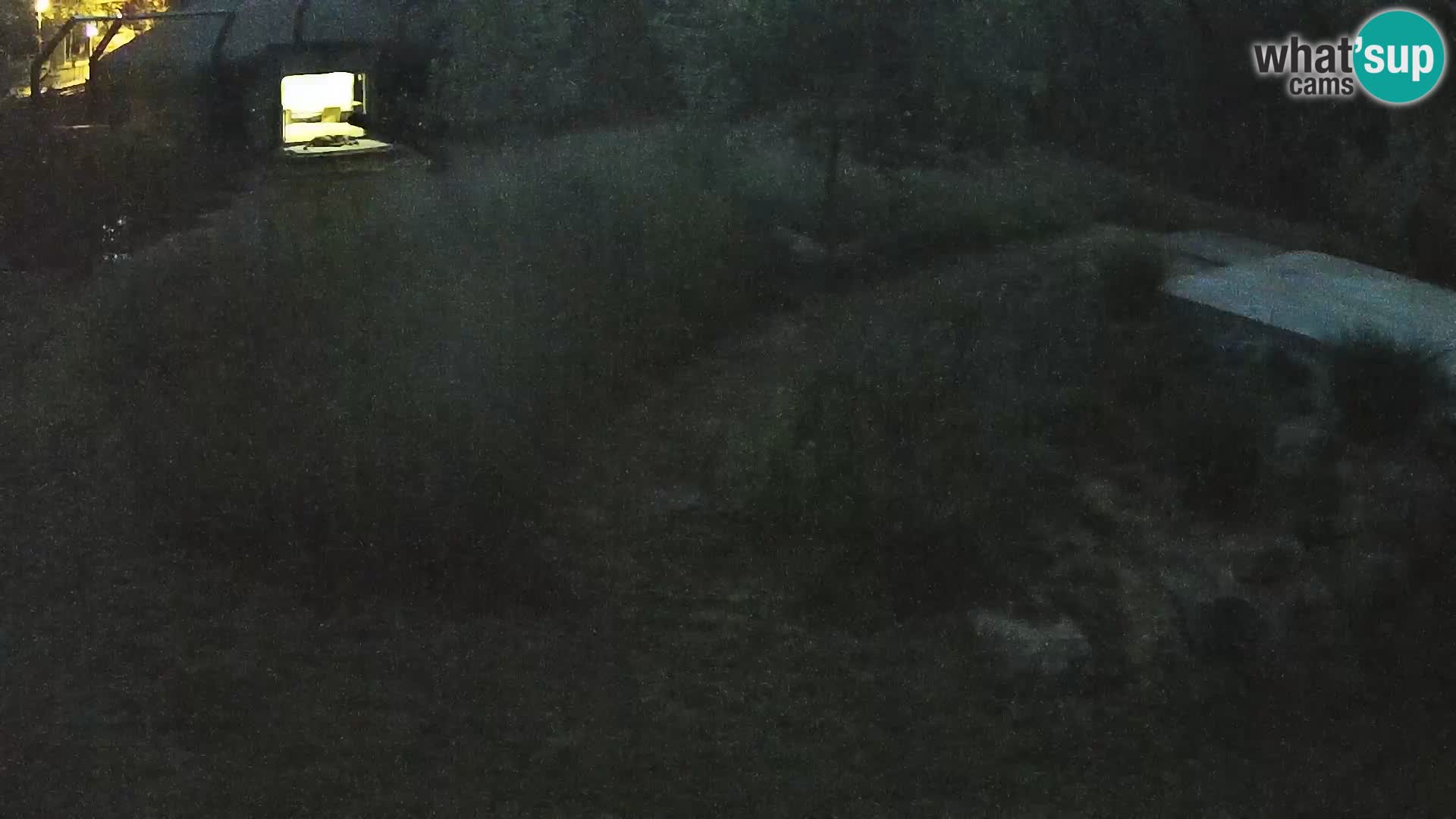 Live Ljubljana Zoo webcam Lion