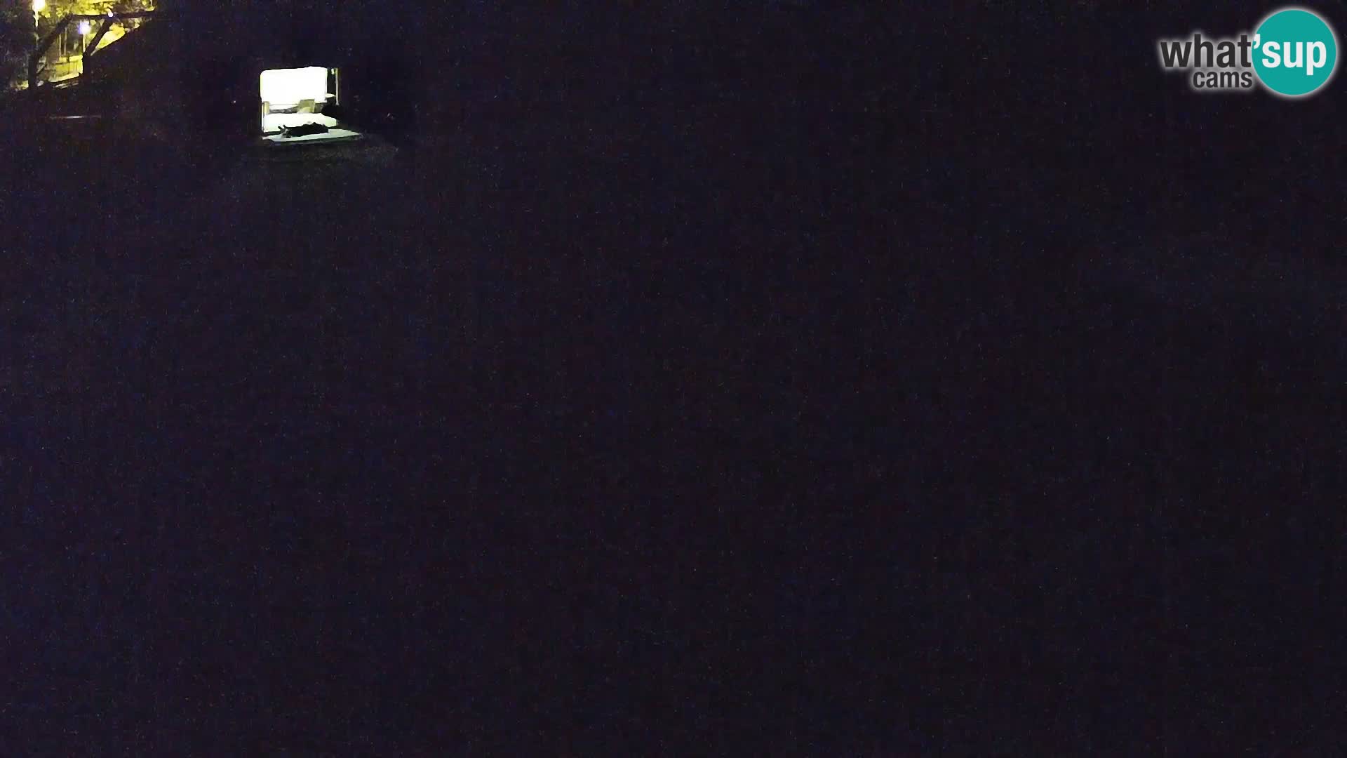 Live Ljubljana Zoo webcam Lion