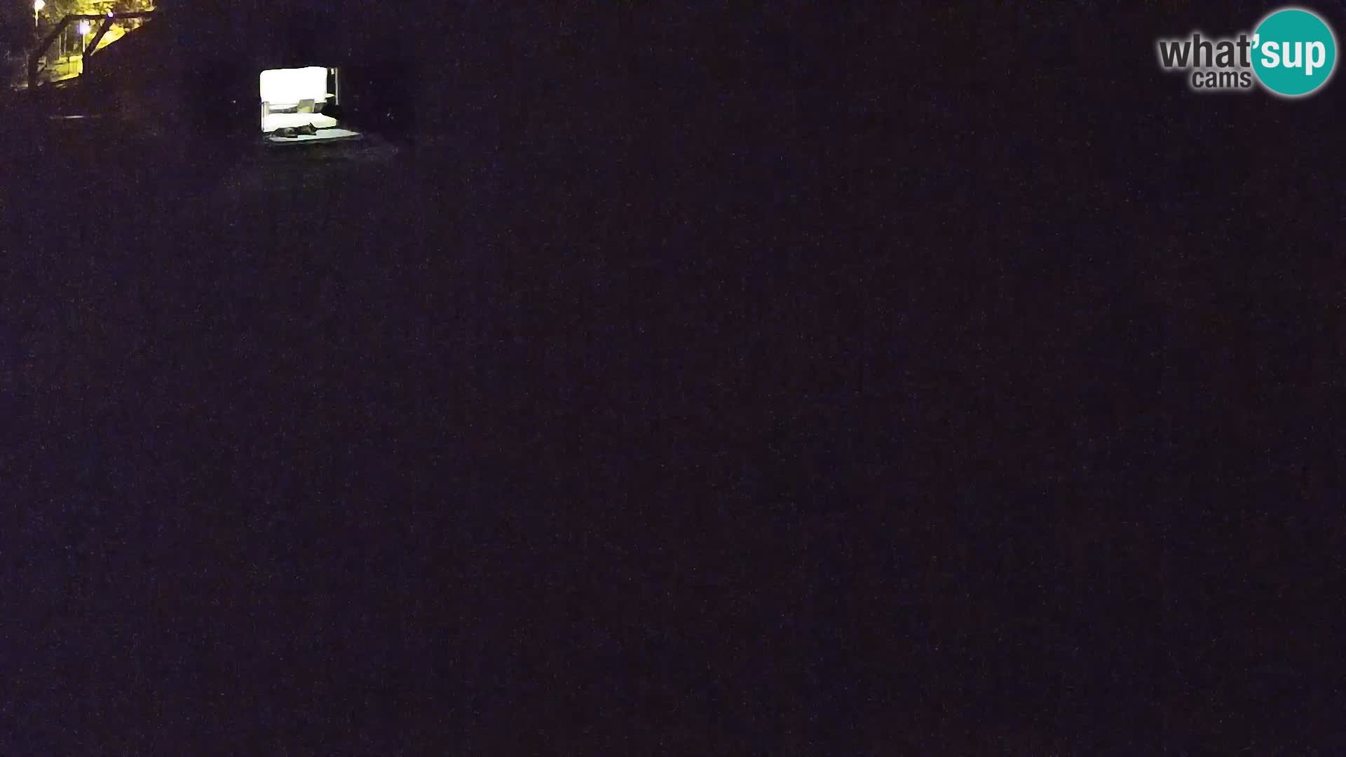 Ljubljana Zoo webcam Lion