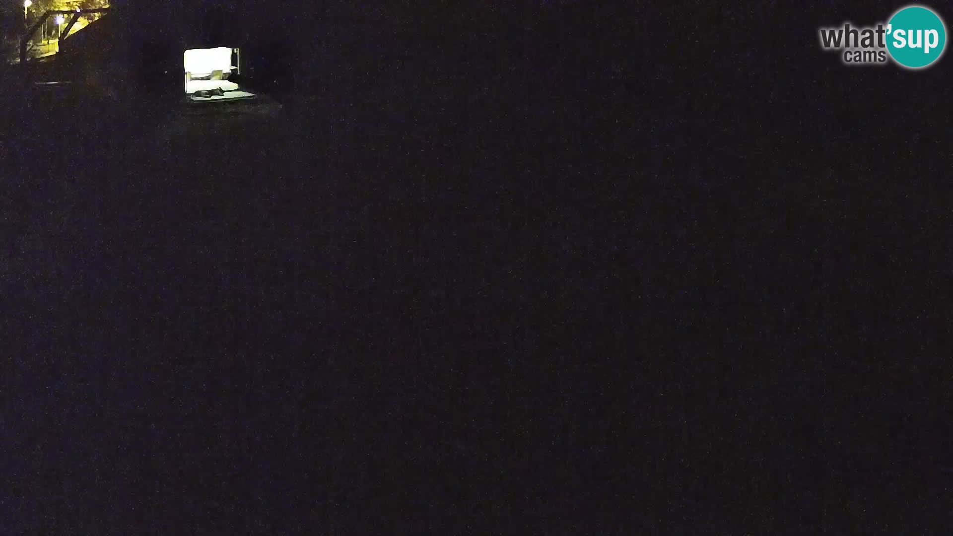 Zoo Lubiana live webcam Leoni