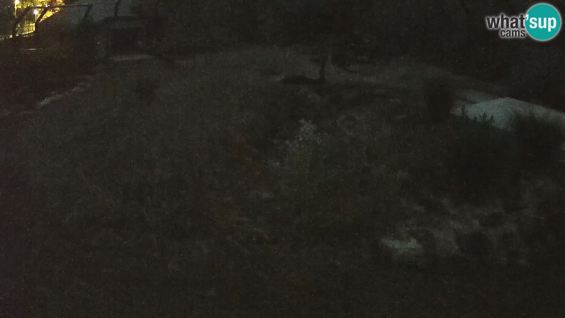 Zoo Lubiana live webcam Leoni