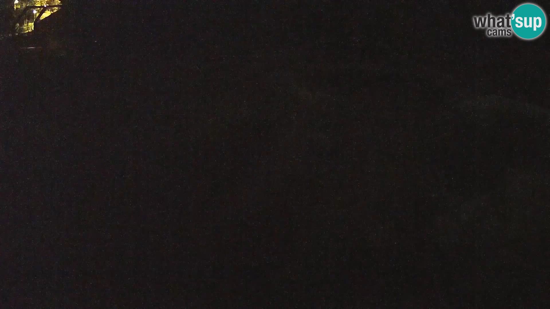 Ljubljana Zoo webcam Lion
