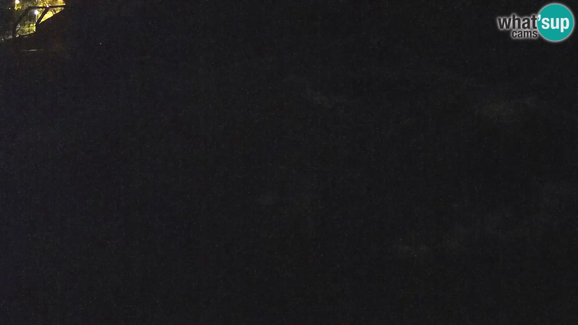 Zoo Ljubljana webcam Löwen