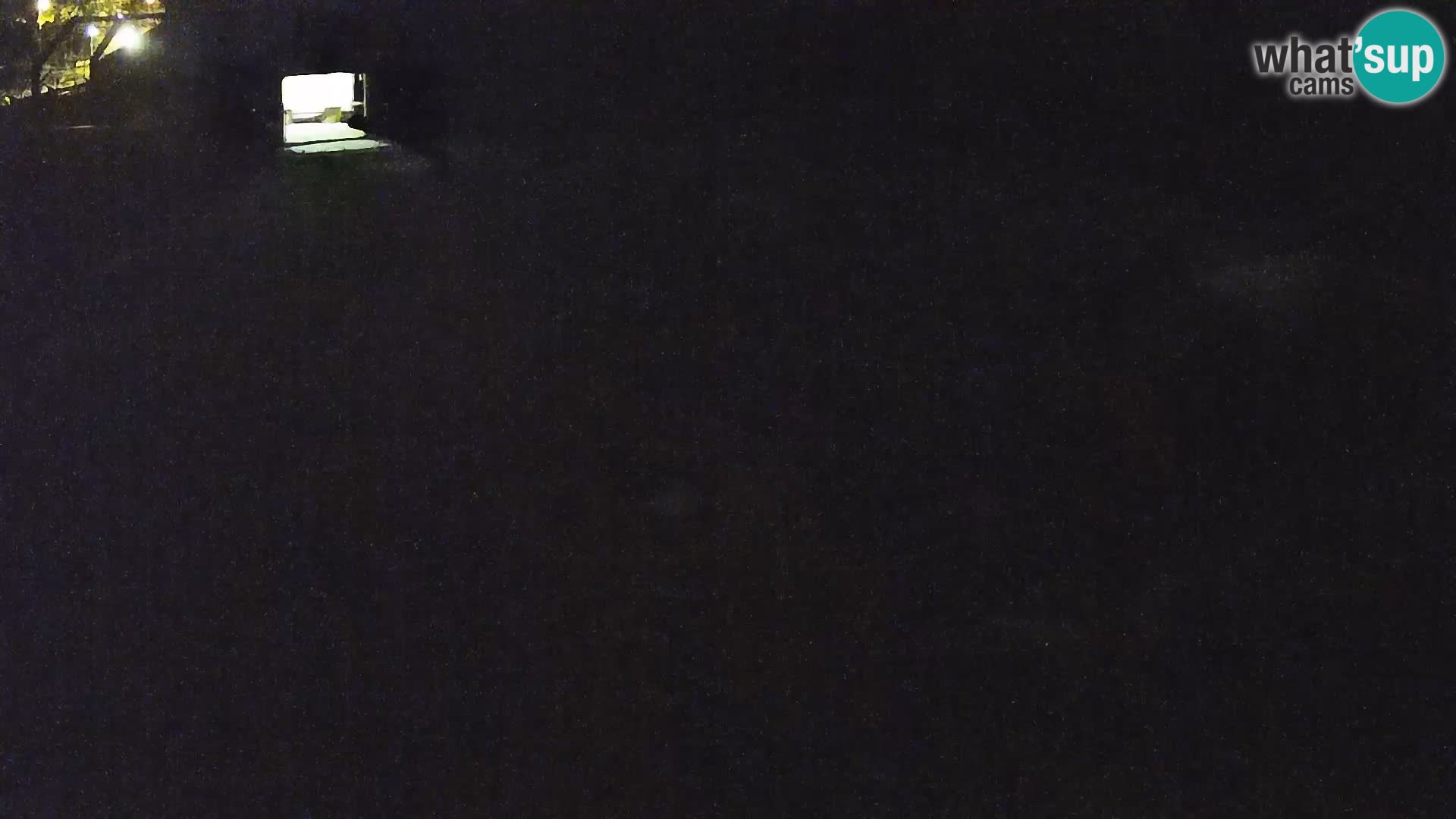 Live Ljubljana Zoo webcam Lion