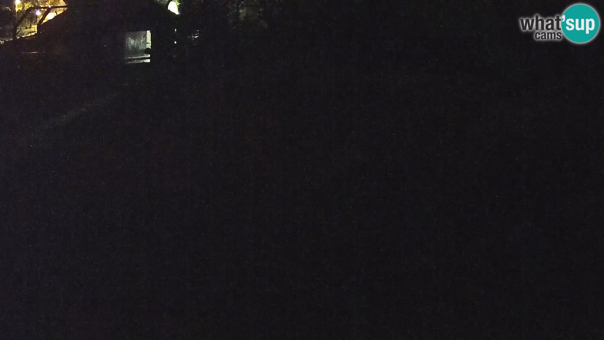 Ljubljana Zoo webcam Lion