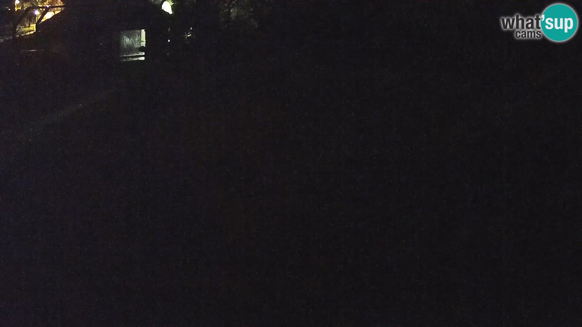 Ljubljana Zoo webcam Lion