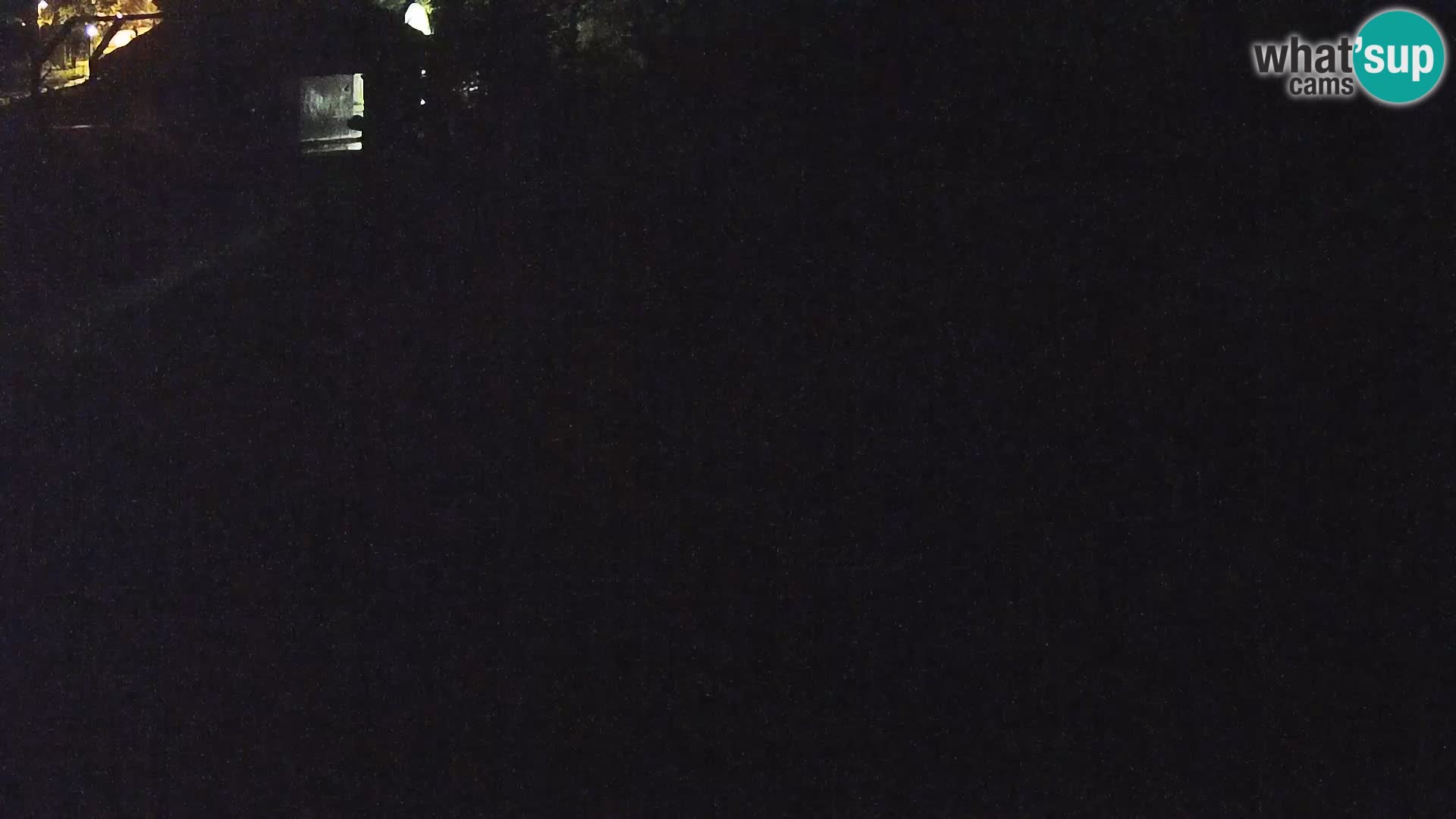 Ljubljana Zoo webcam Lion