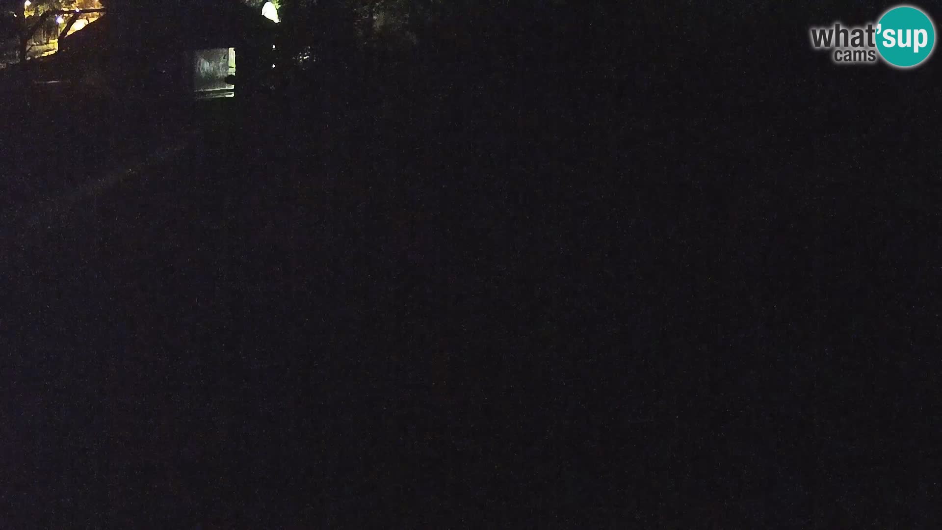 Zoo Ljubljana camera en vivo Leones