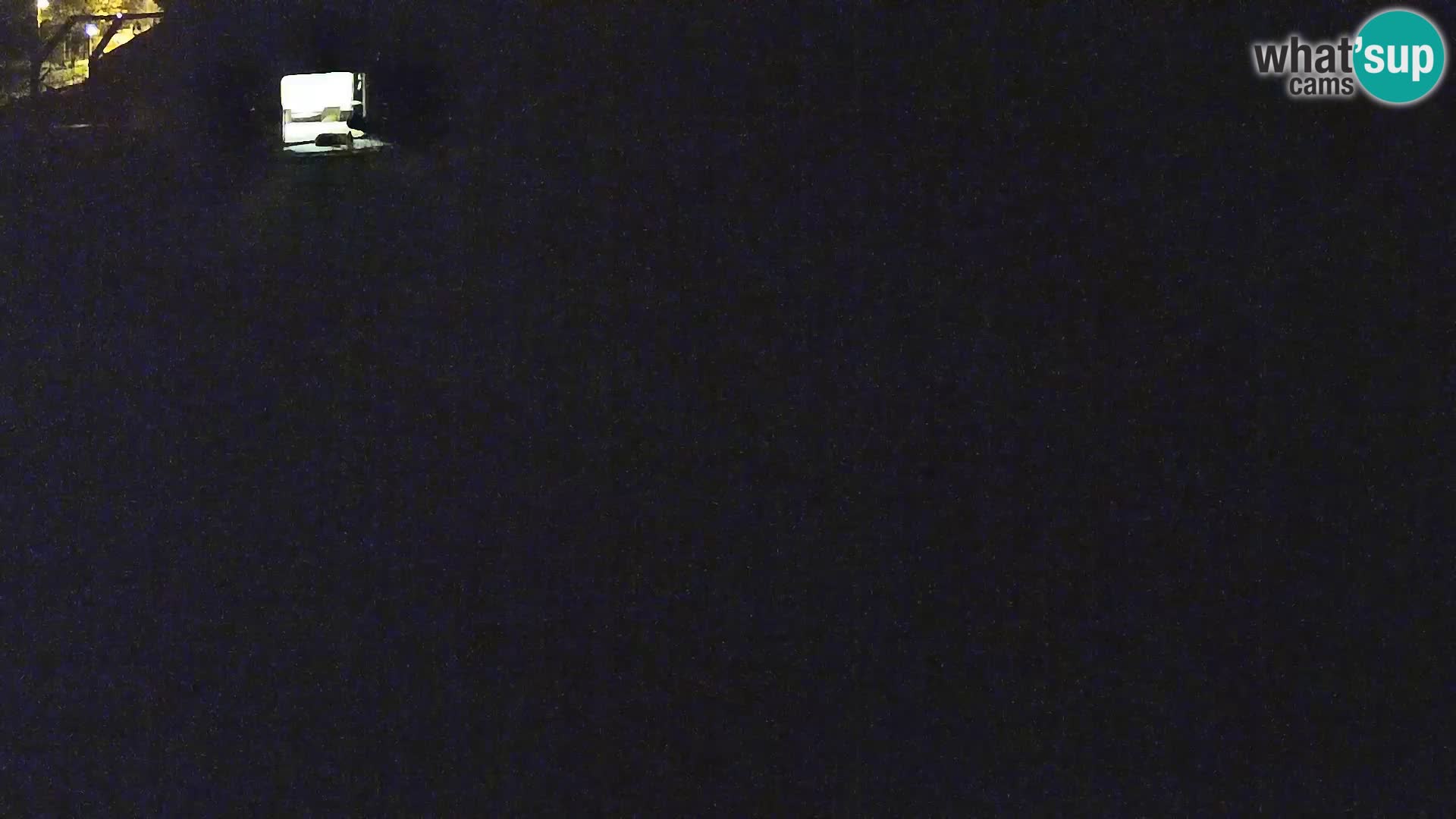 Zoo Lubiana live webcam Leoni