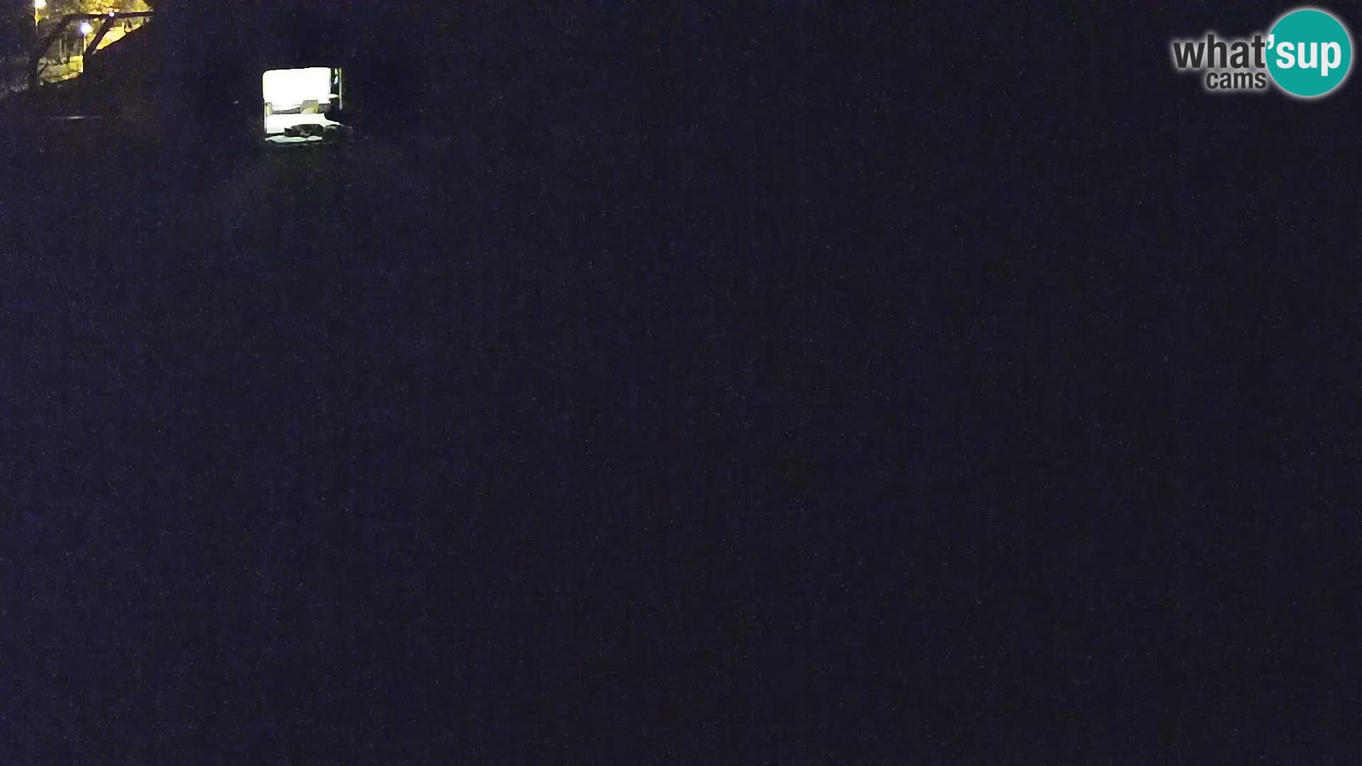Ljubljana Zoo webcam Lion