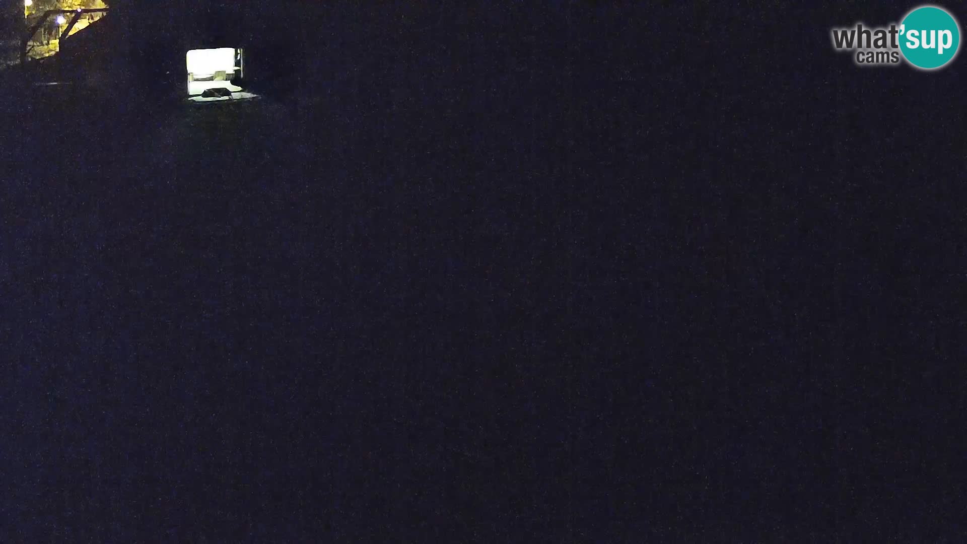 Ljubljana Zoo webcam Lion