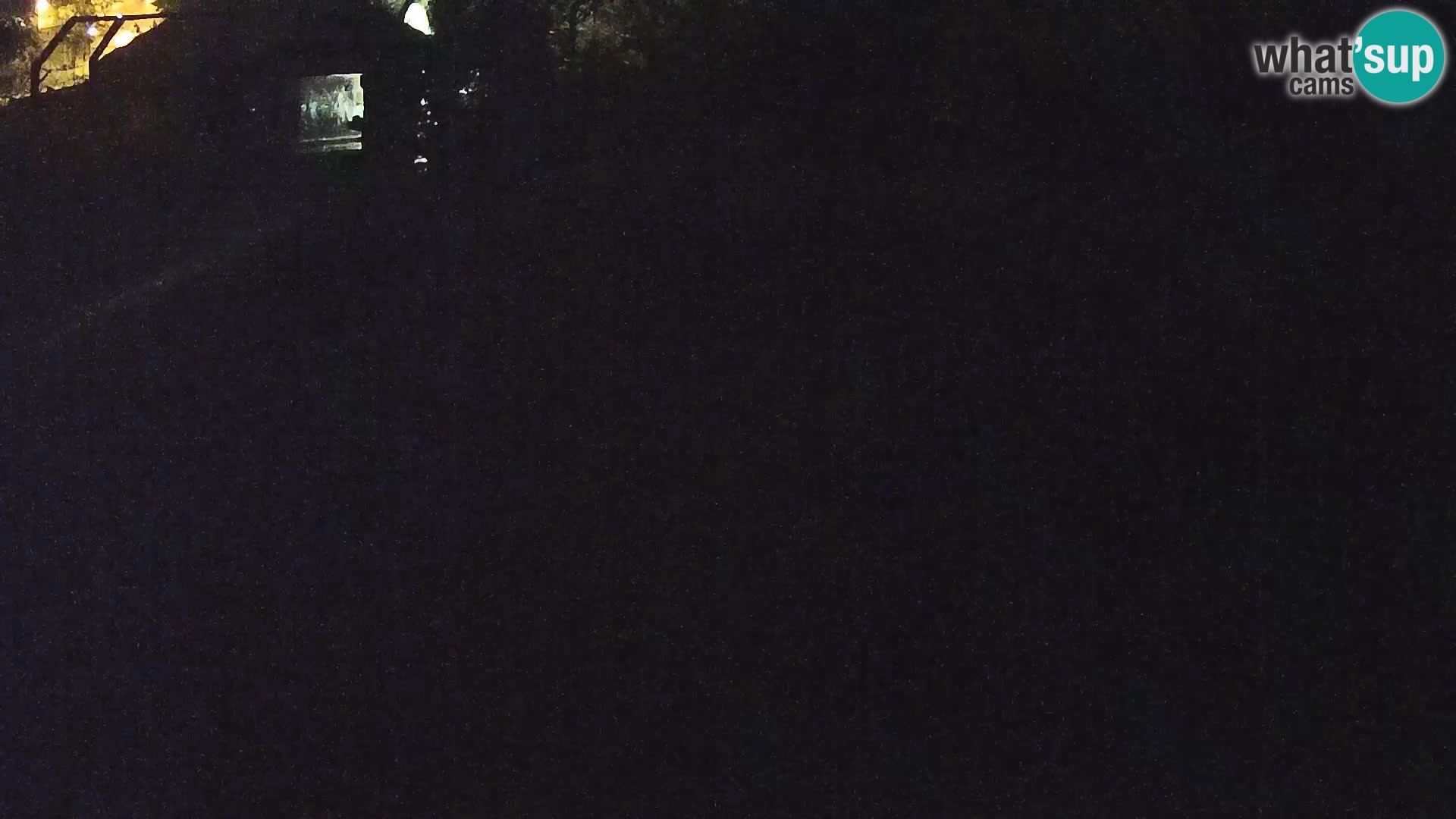 Ljubljana Zoo webcam Lion